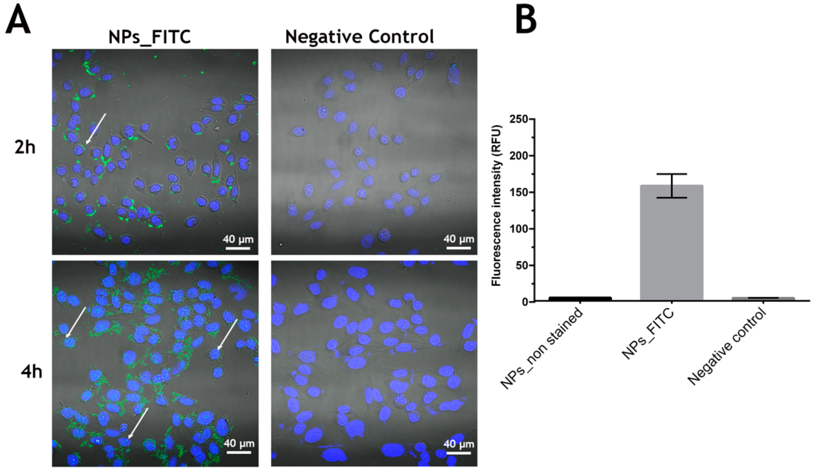 Pharmaceutics 14 00920 g007 Pharmaceutics 14 00920 g007