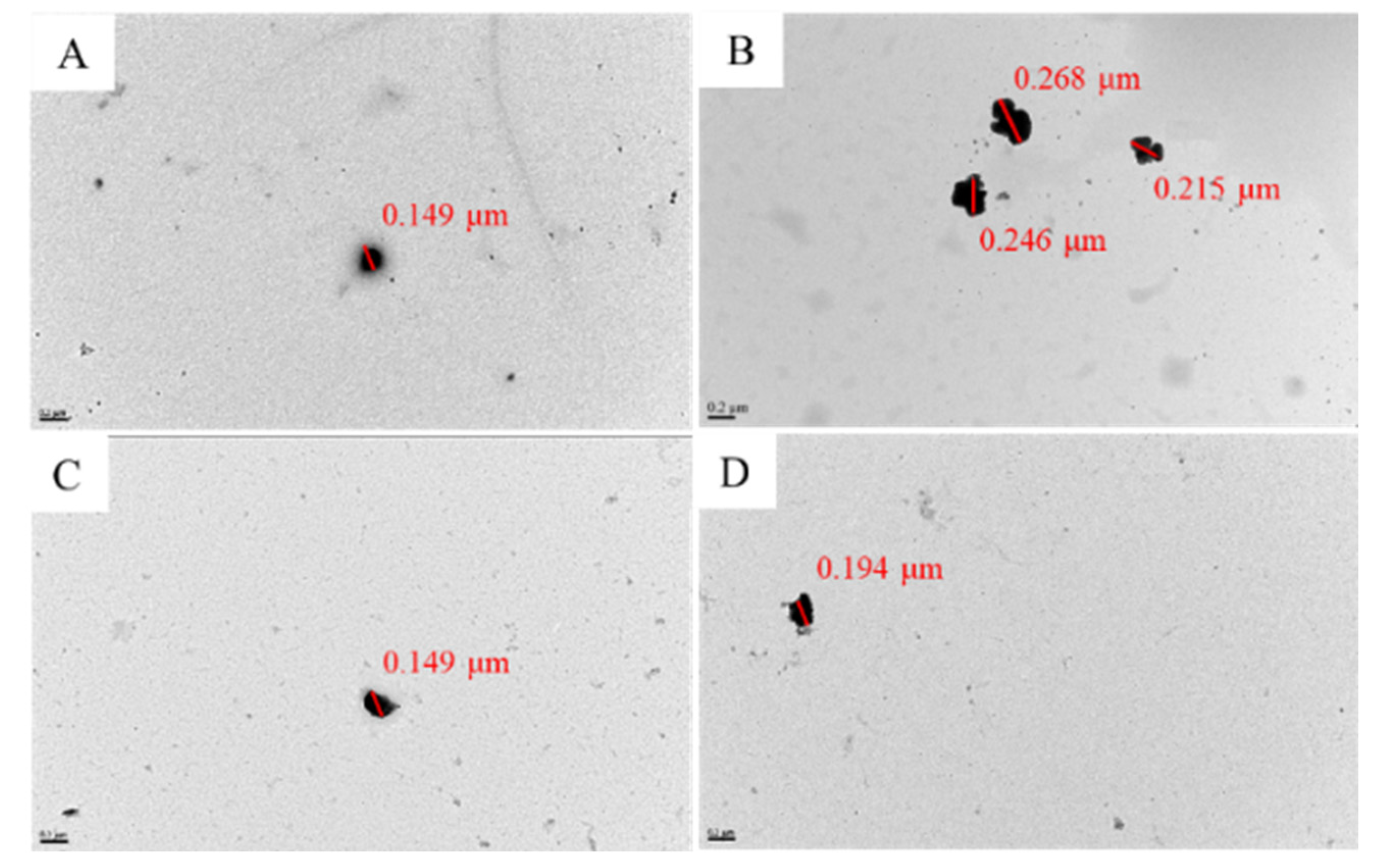 Pharmaceutics 14 00921 g002