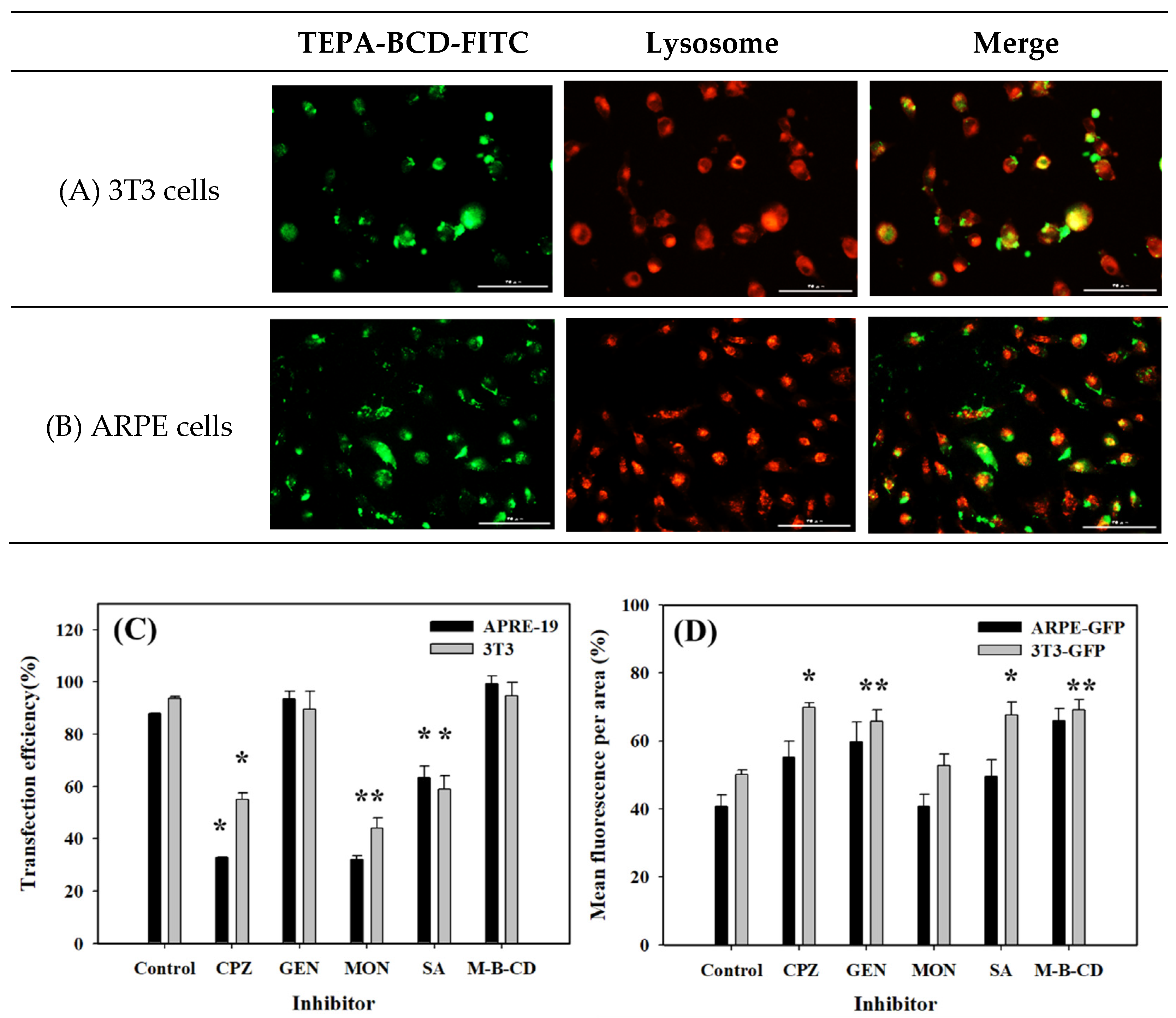 Pharmaceutics 14 00921 g007