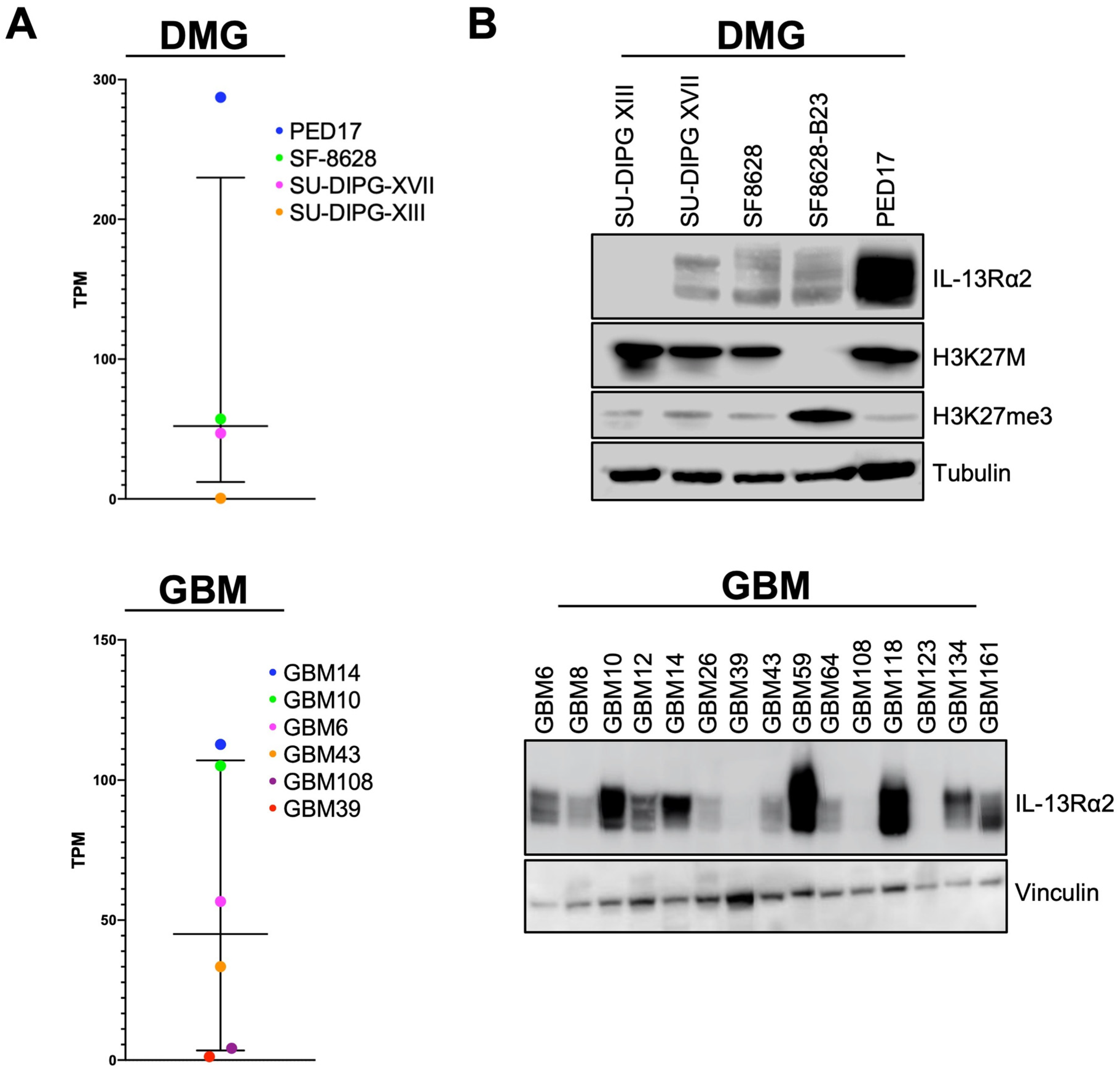 Pharmaceutics 14 00922 g001