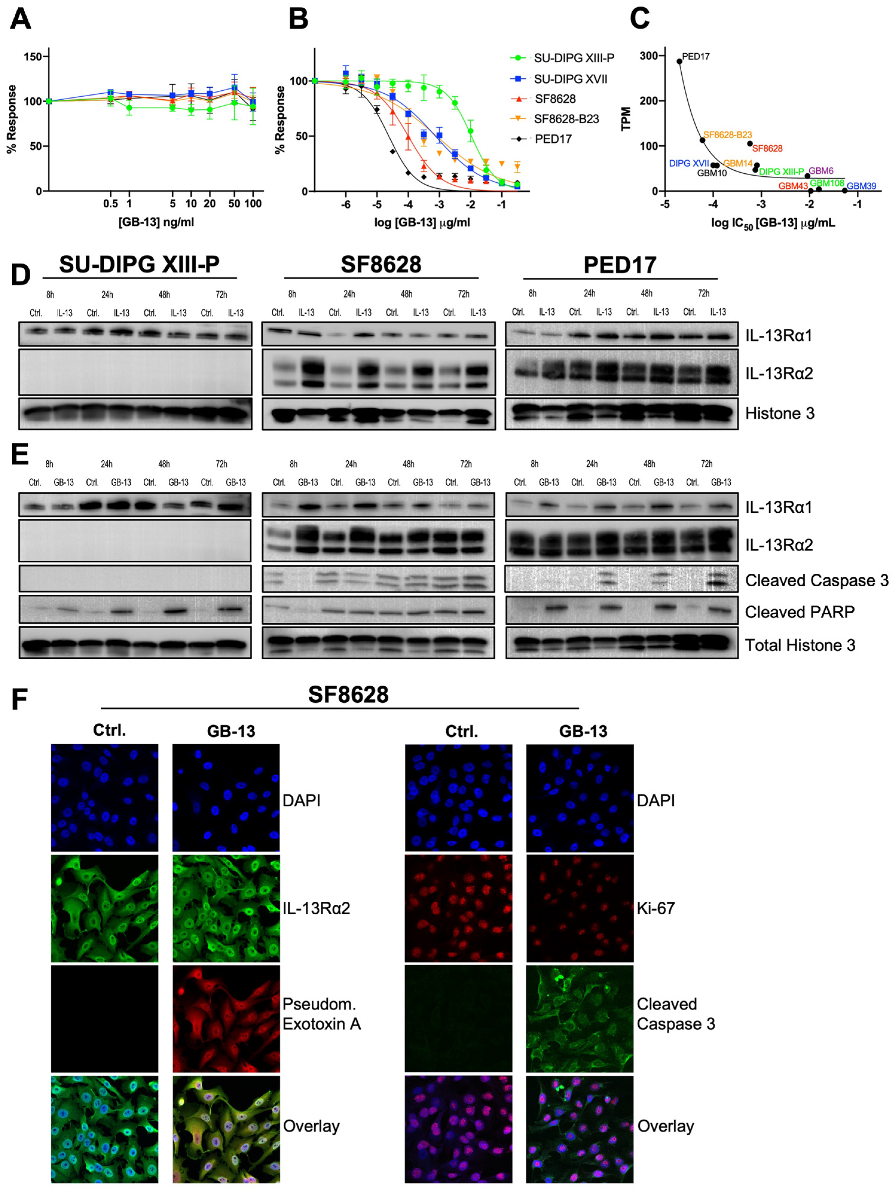 Pharmaceutics 14 00922 g002