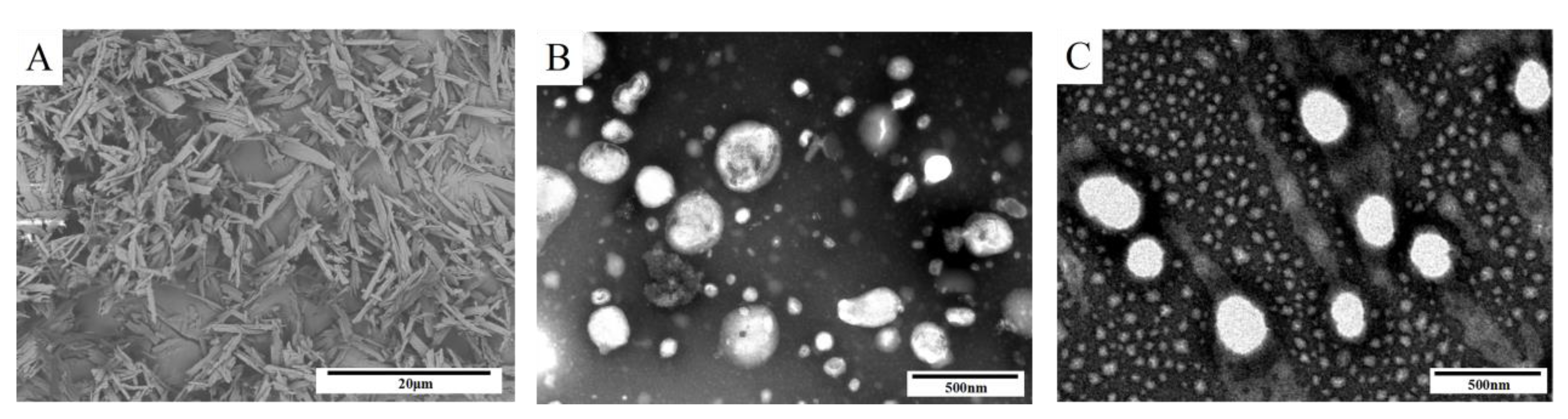 Pharmaceutics 14 00923 g004