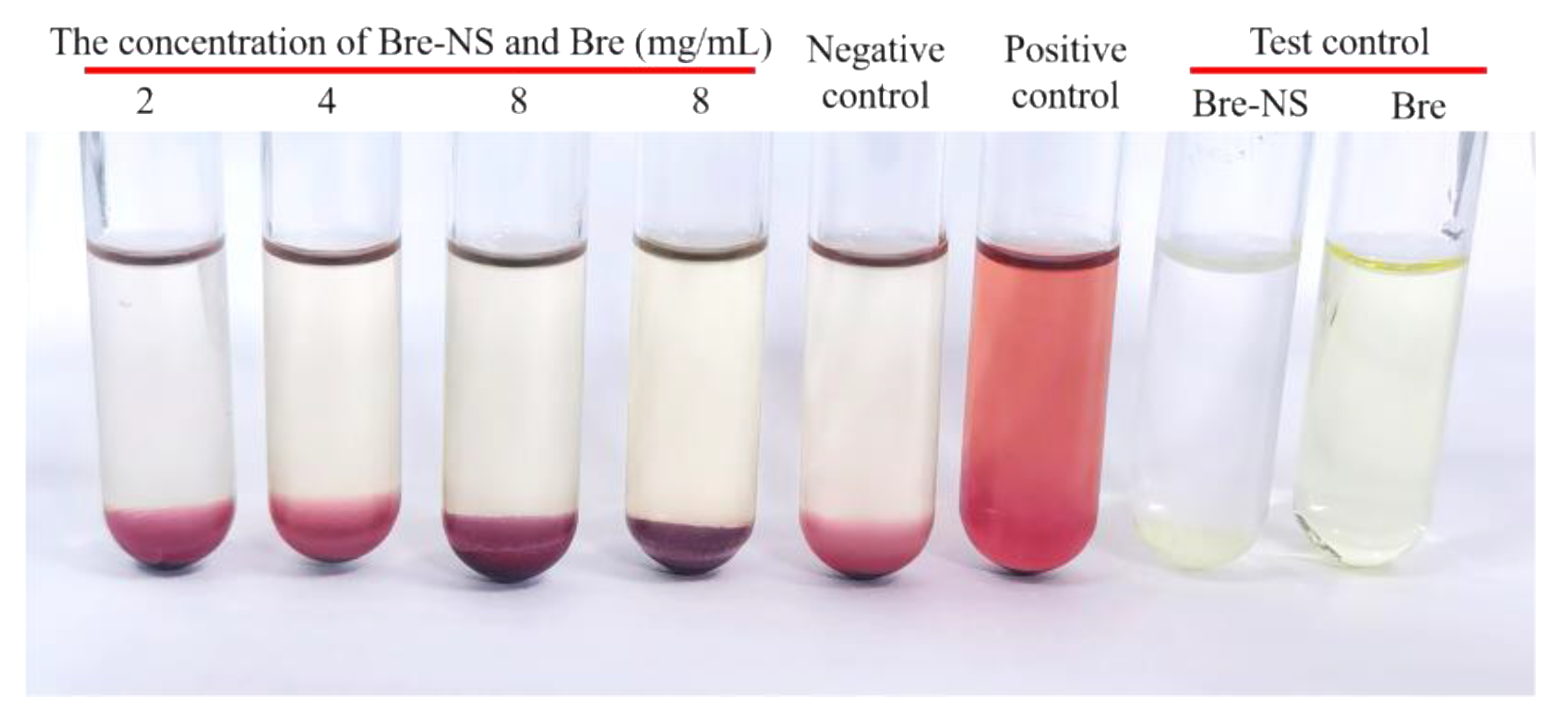 Pharmaceutics 14 00923 g008