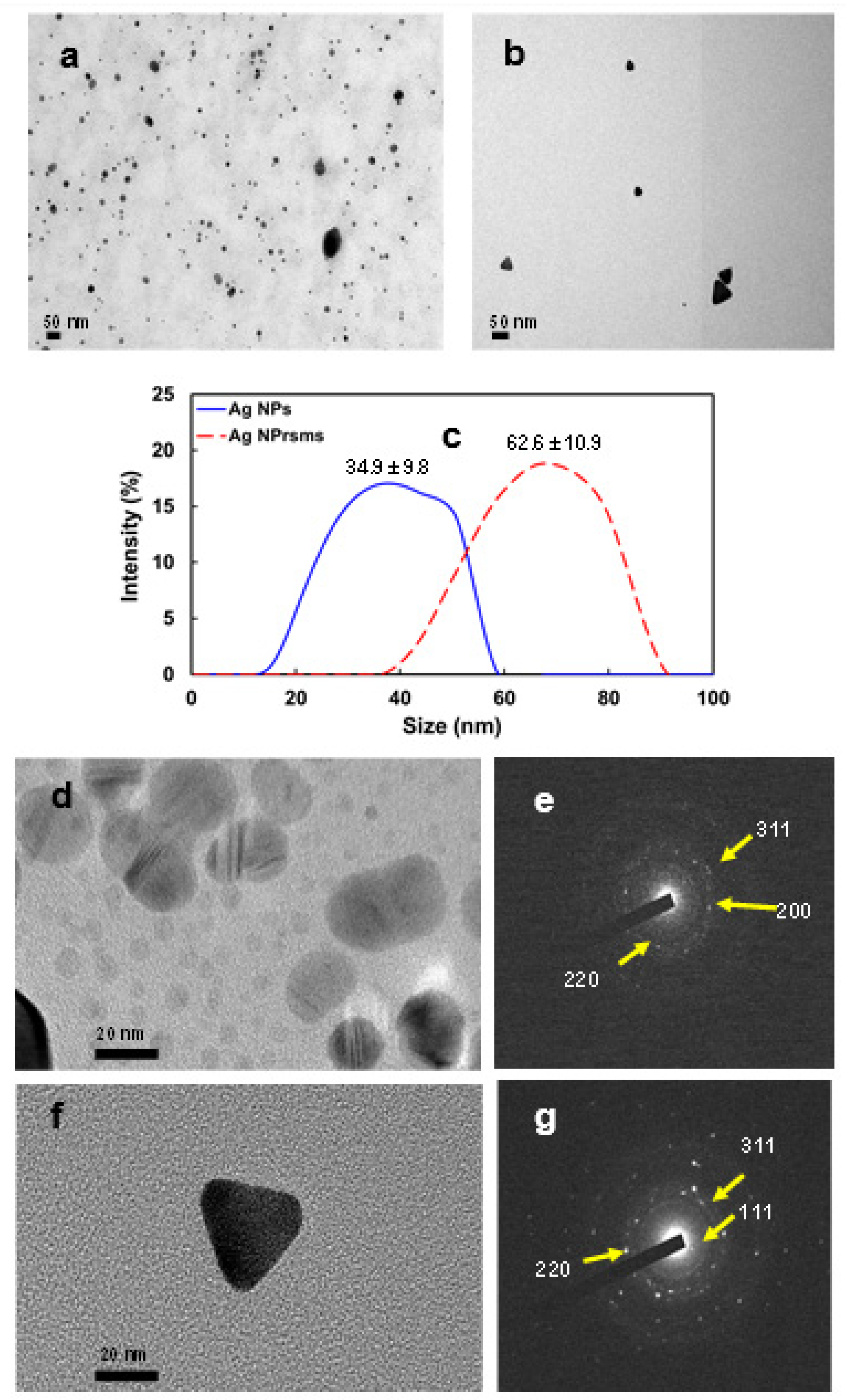 Pharmaceutics 14 00924 g002