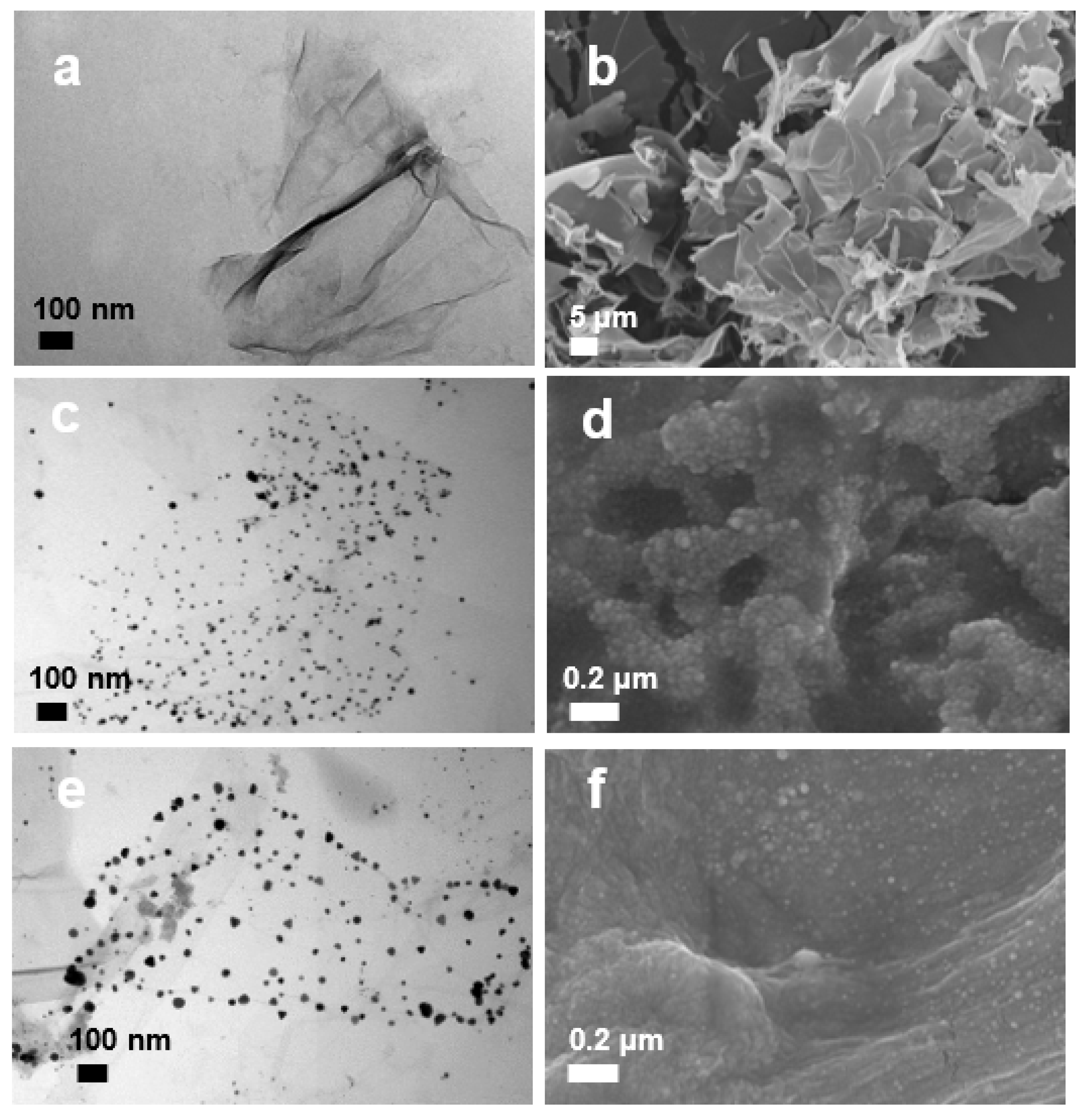 Pharmaceutics 14 00924 g003