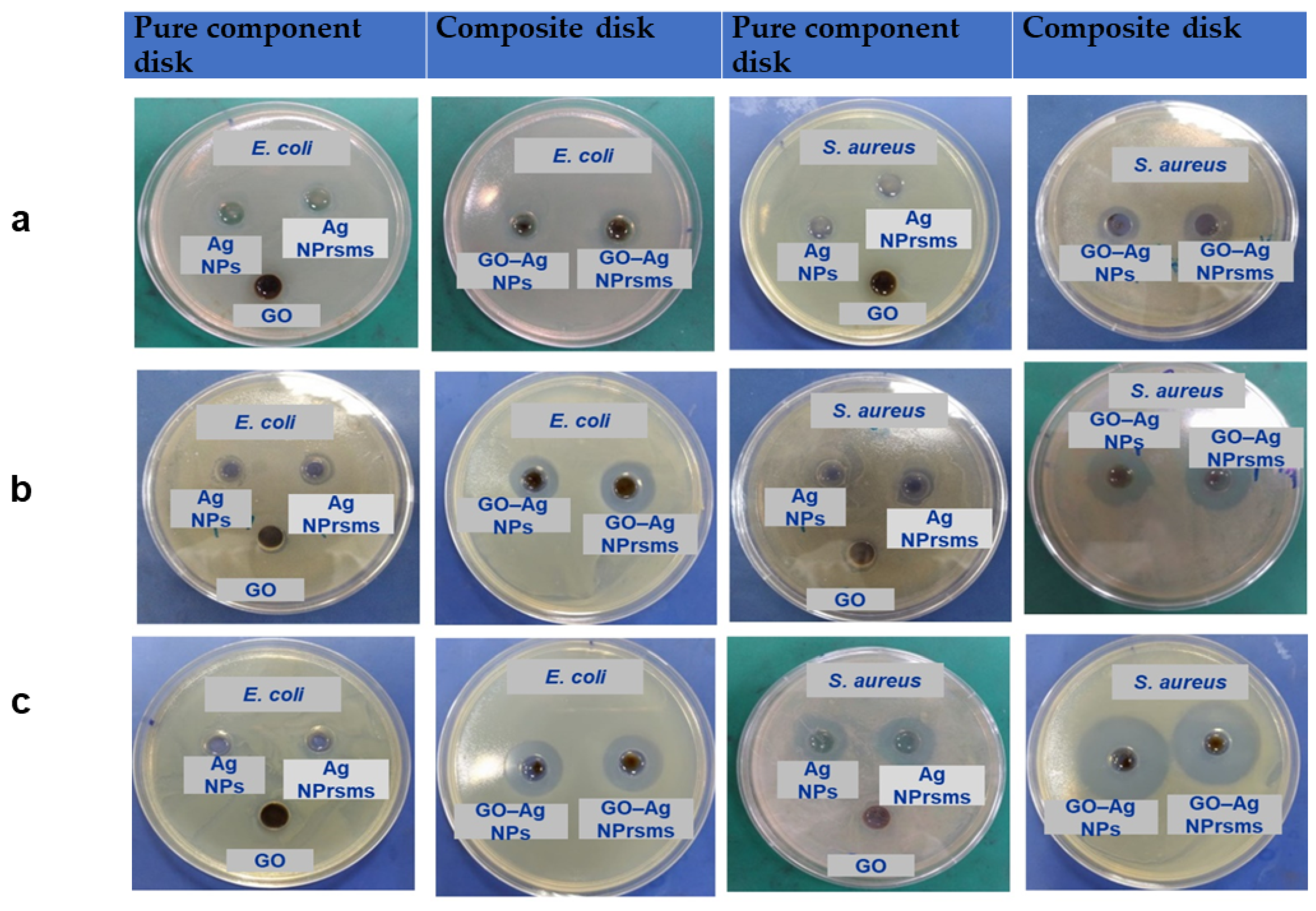 Pharmaceutics 14 00924 g007