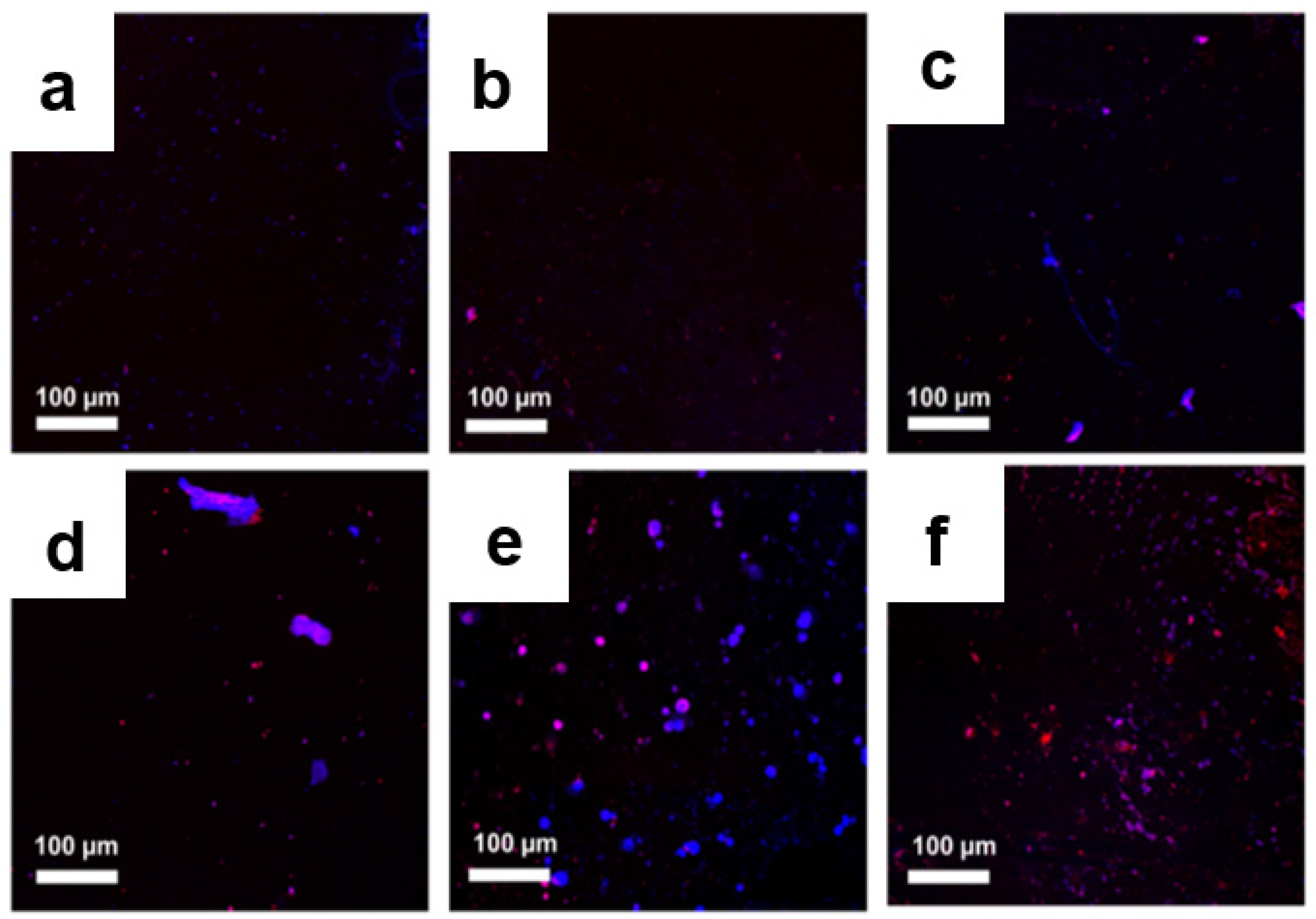 Pharmaceutics 14 00924 g009