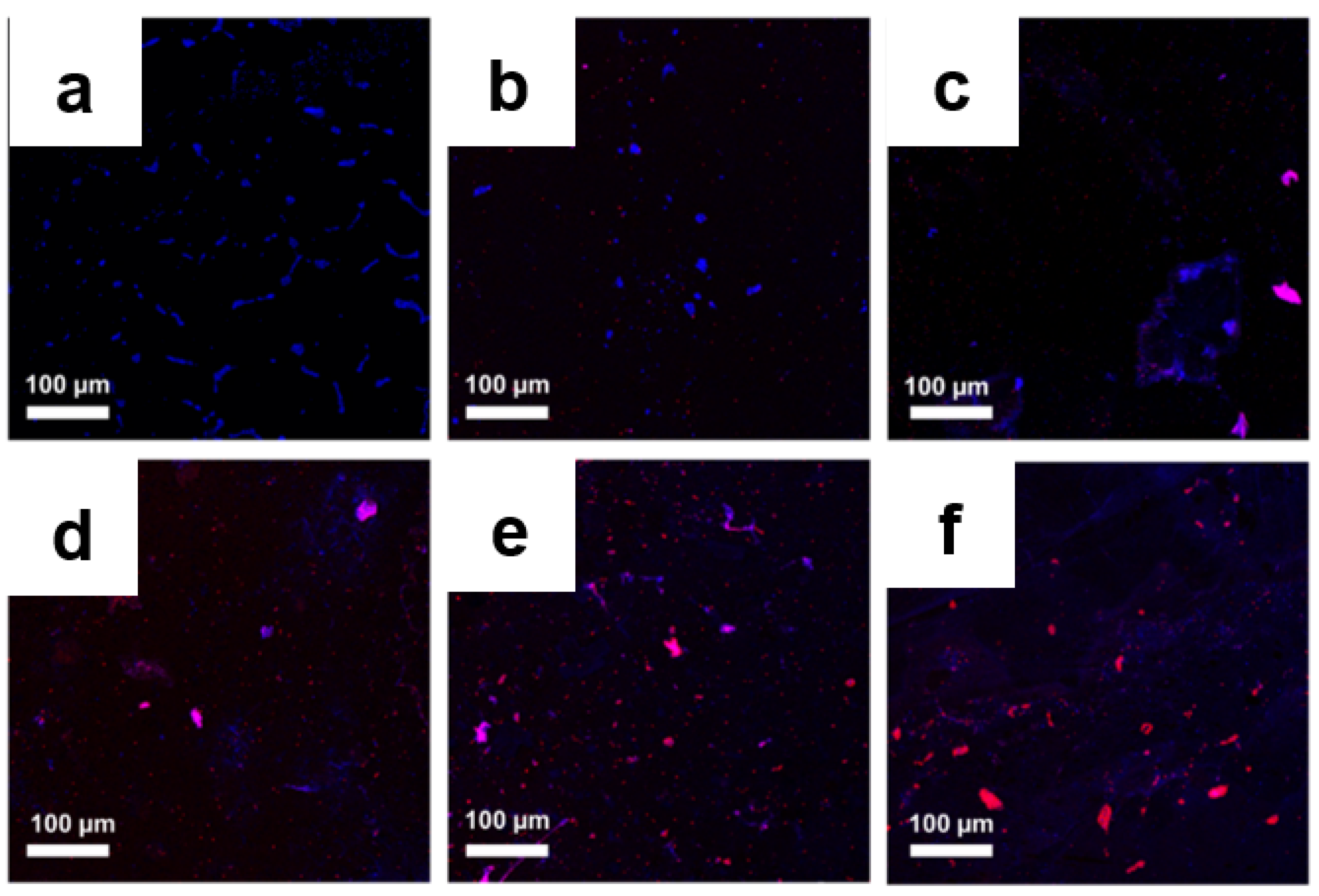 Pharmaceutics 14 00924 g010