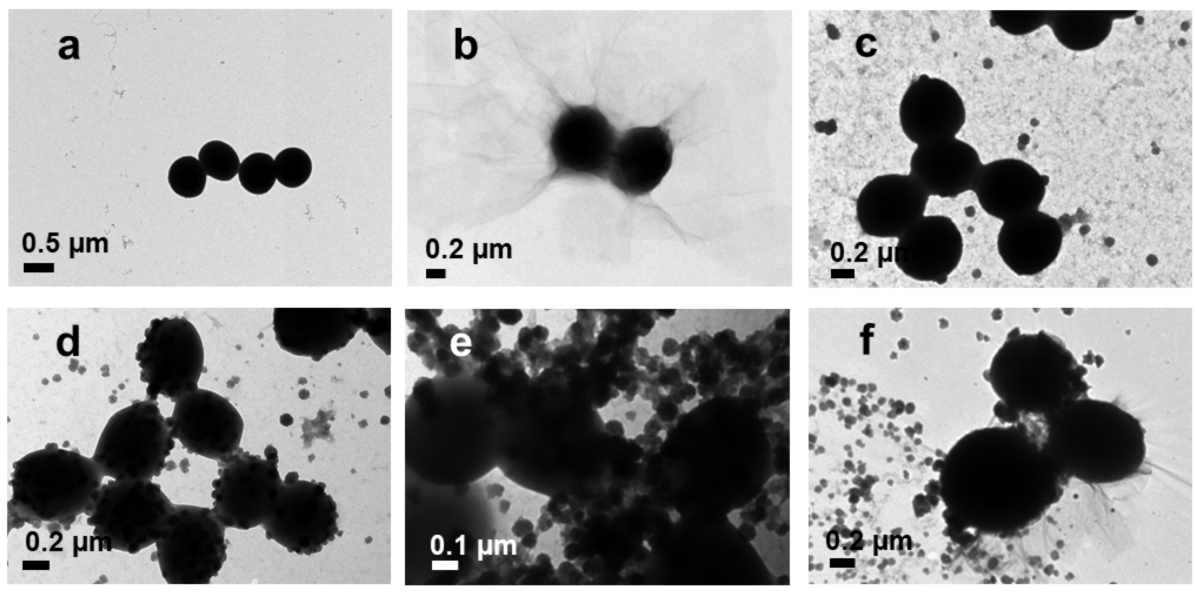 Pharmaceutics 14 00924 g012