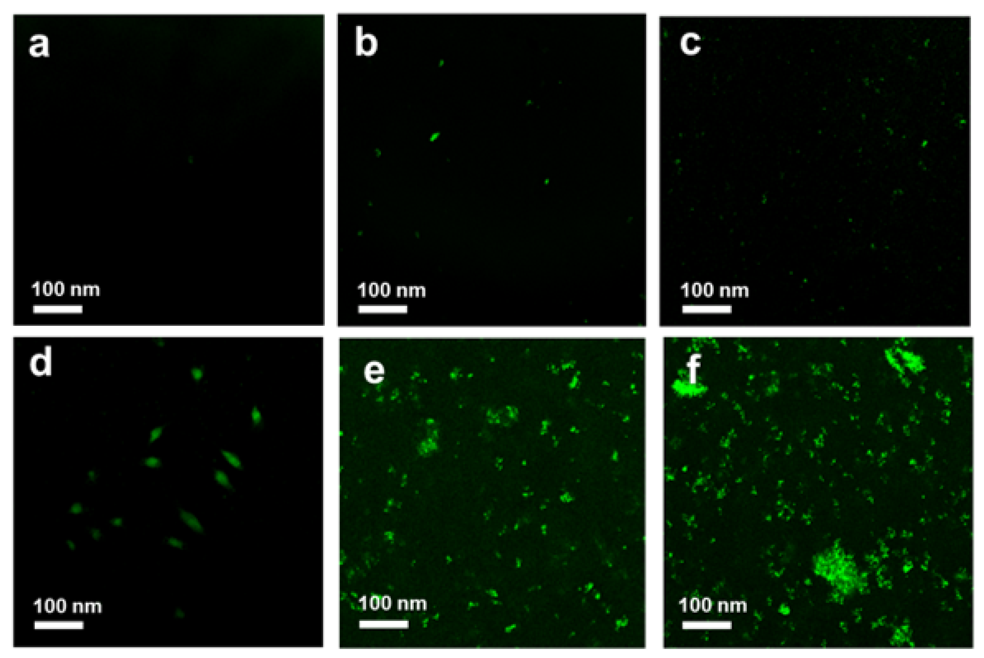 Pharmaceutics 14 00924 g014