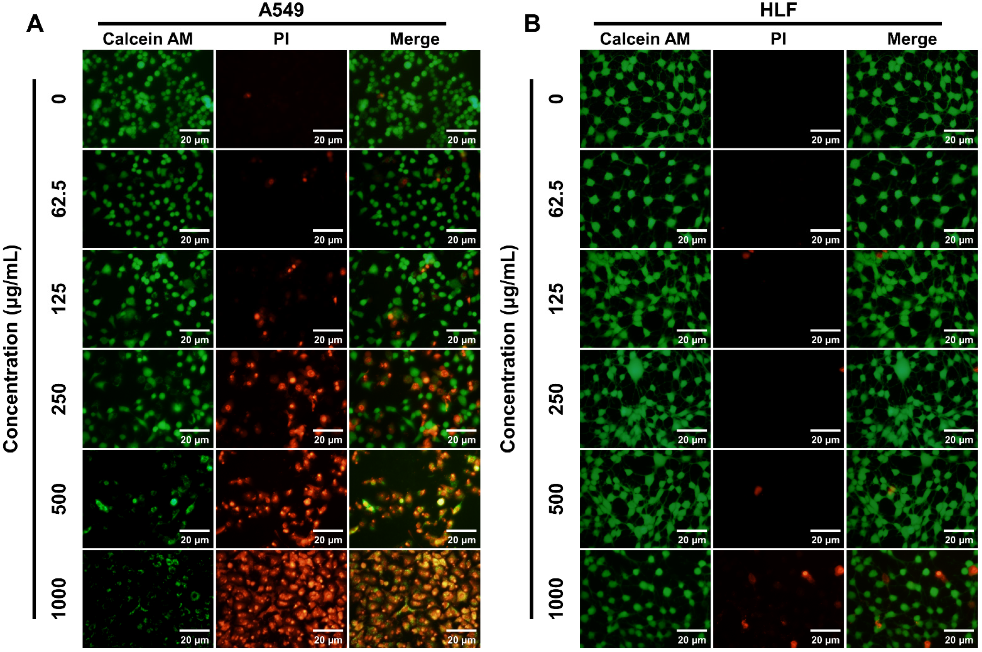 Pharmaceutics 14 00929 g002 Pharmaceutics 14 00929 g002