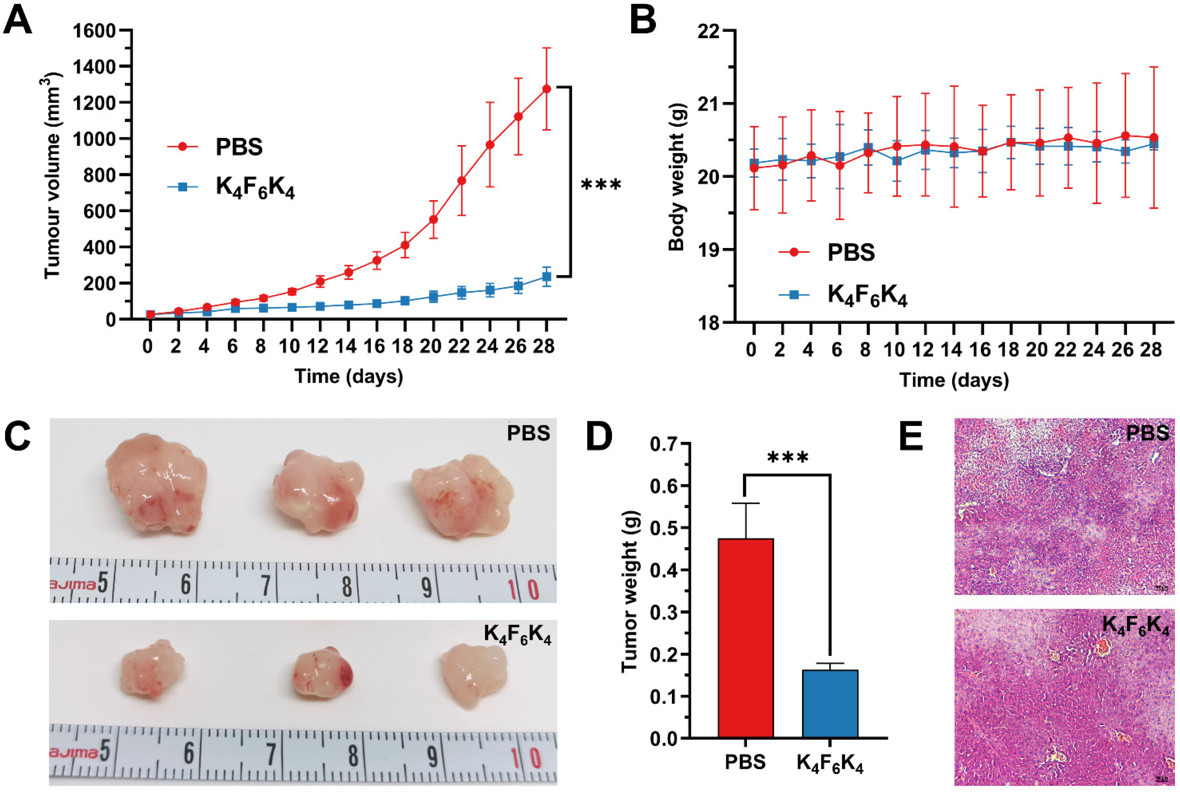 Pharmaceutics 14 00929 g007 Pharmaceutics 14 00929 g007