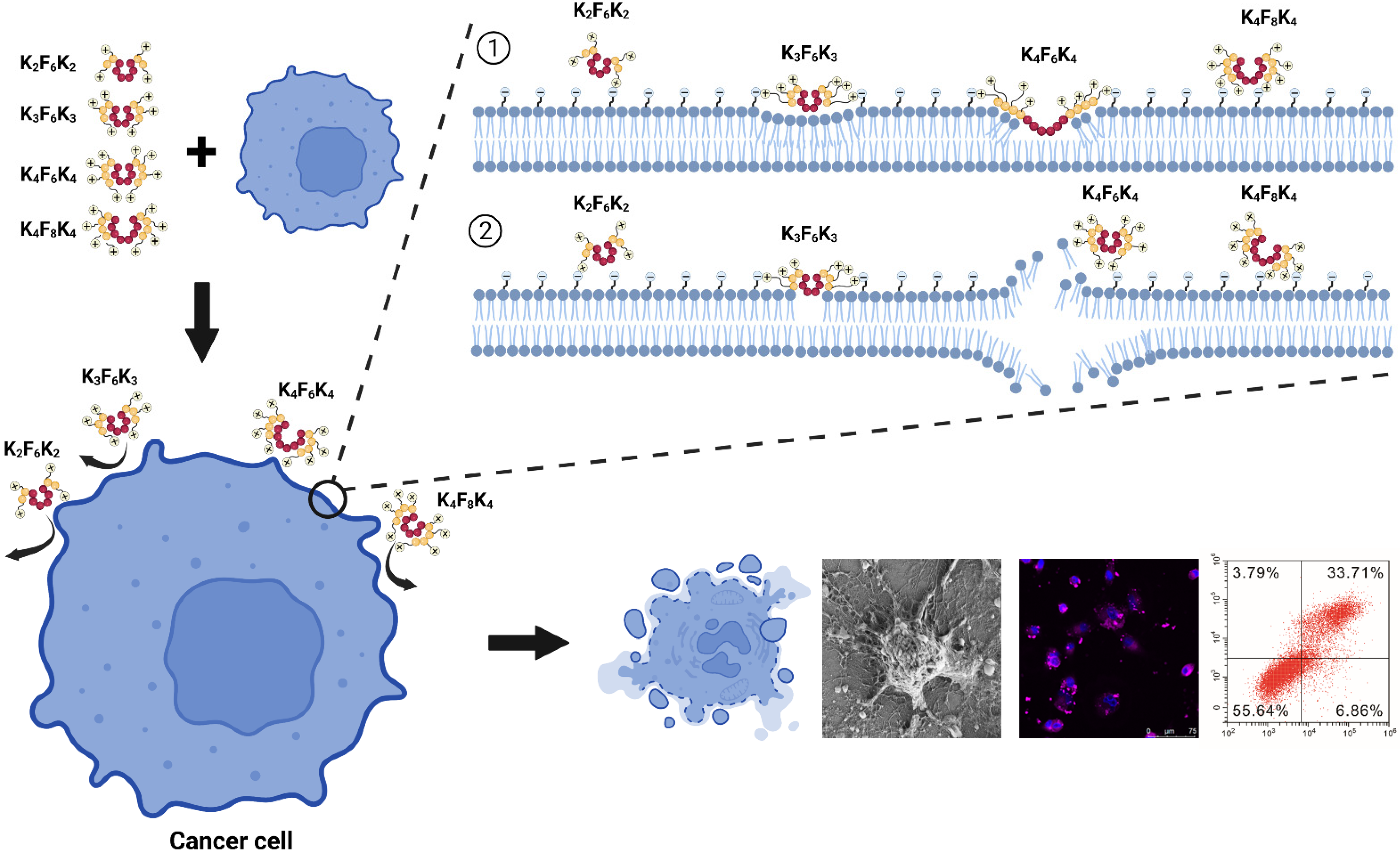 Pharmaceutics 14 00929 g008 Pharmaceutics 14 00929 g008