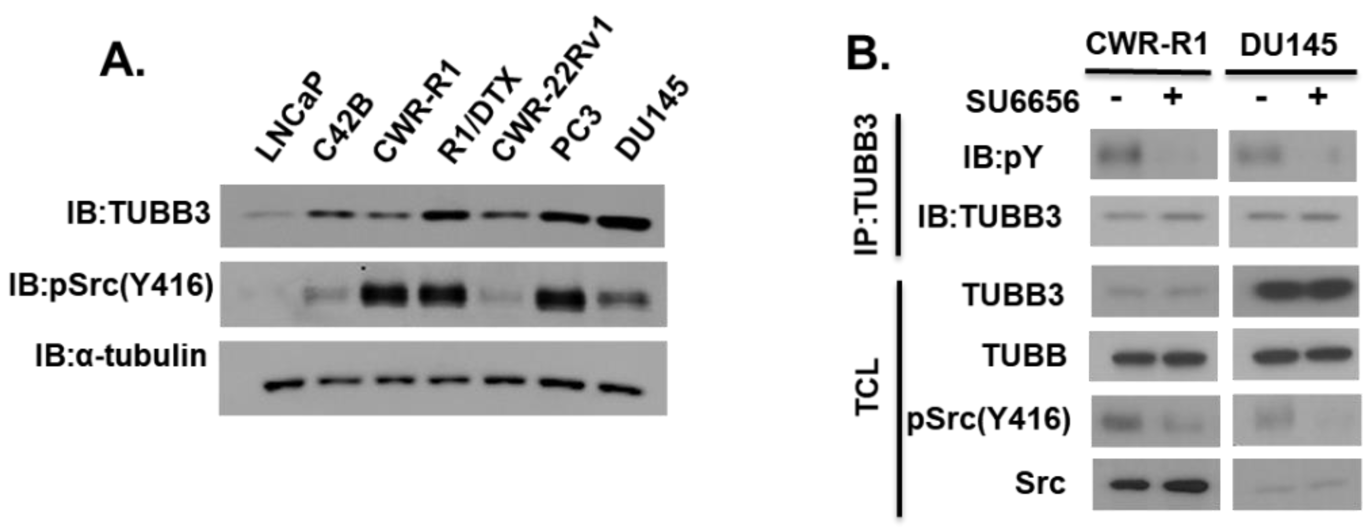 Pharmaceutics 14 00932 g001 Pharmaceutics 14 00932 g001