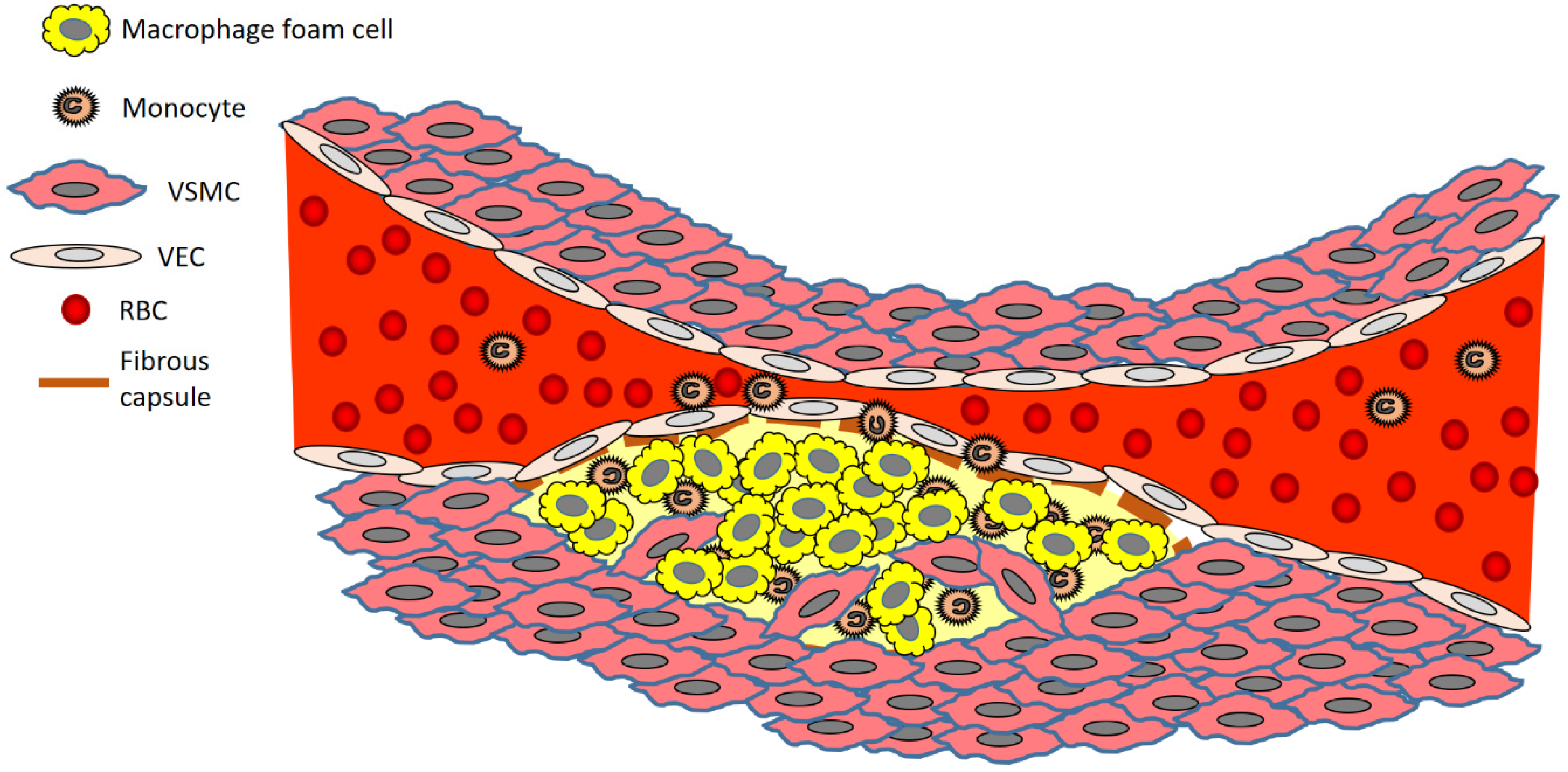 Pharmaceutics 14 00935 g001 Pharmaceutics 14 00935 g001