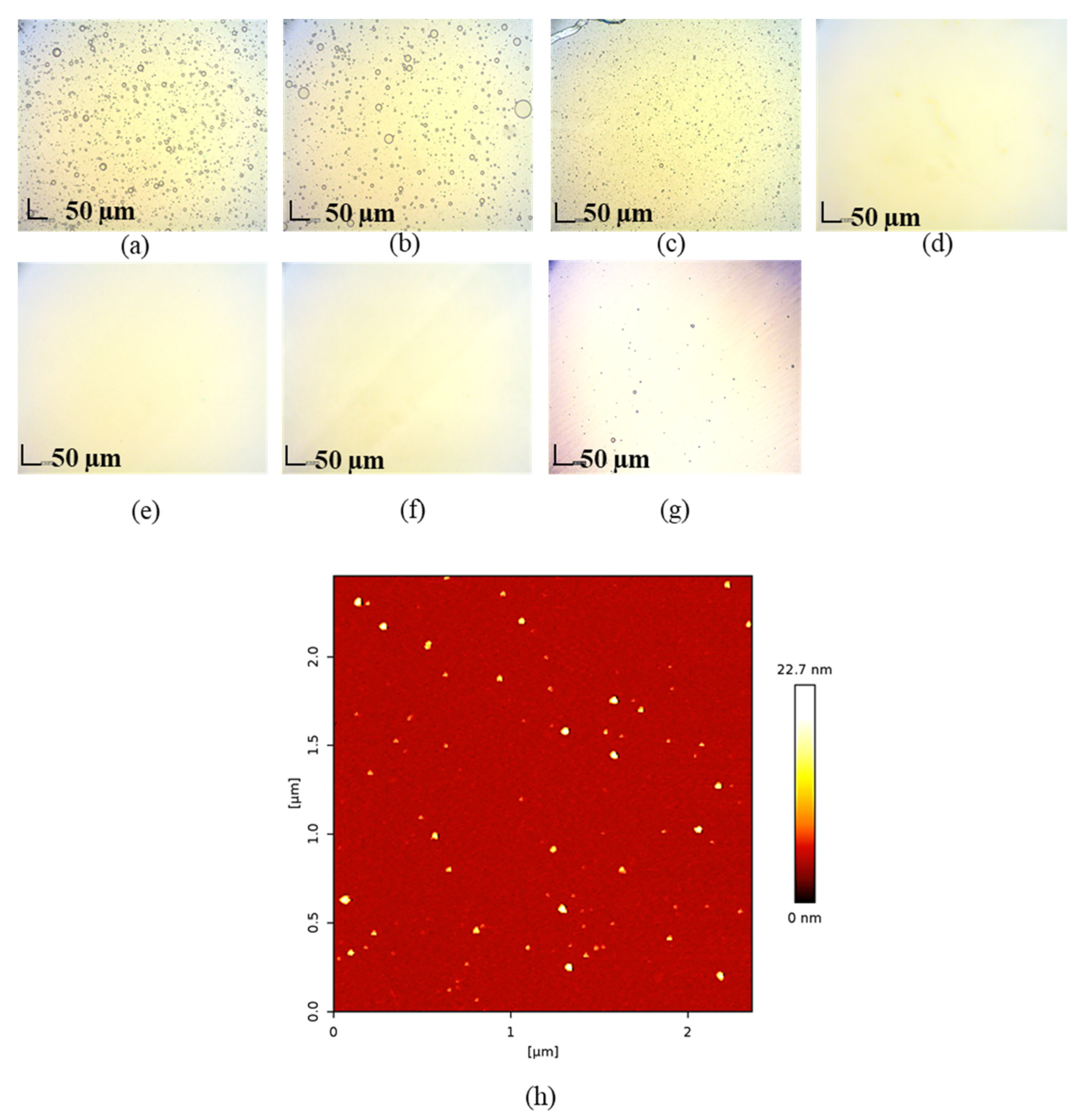 Pharmaceutics 14 00938 g002