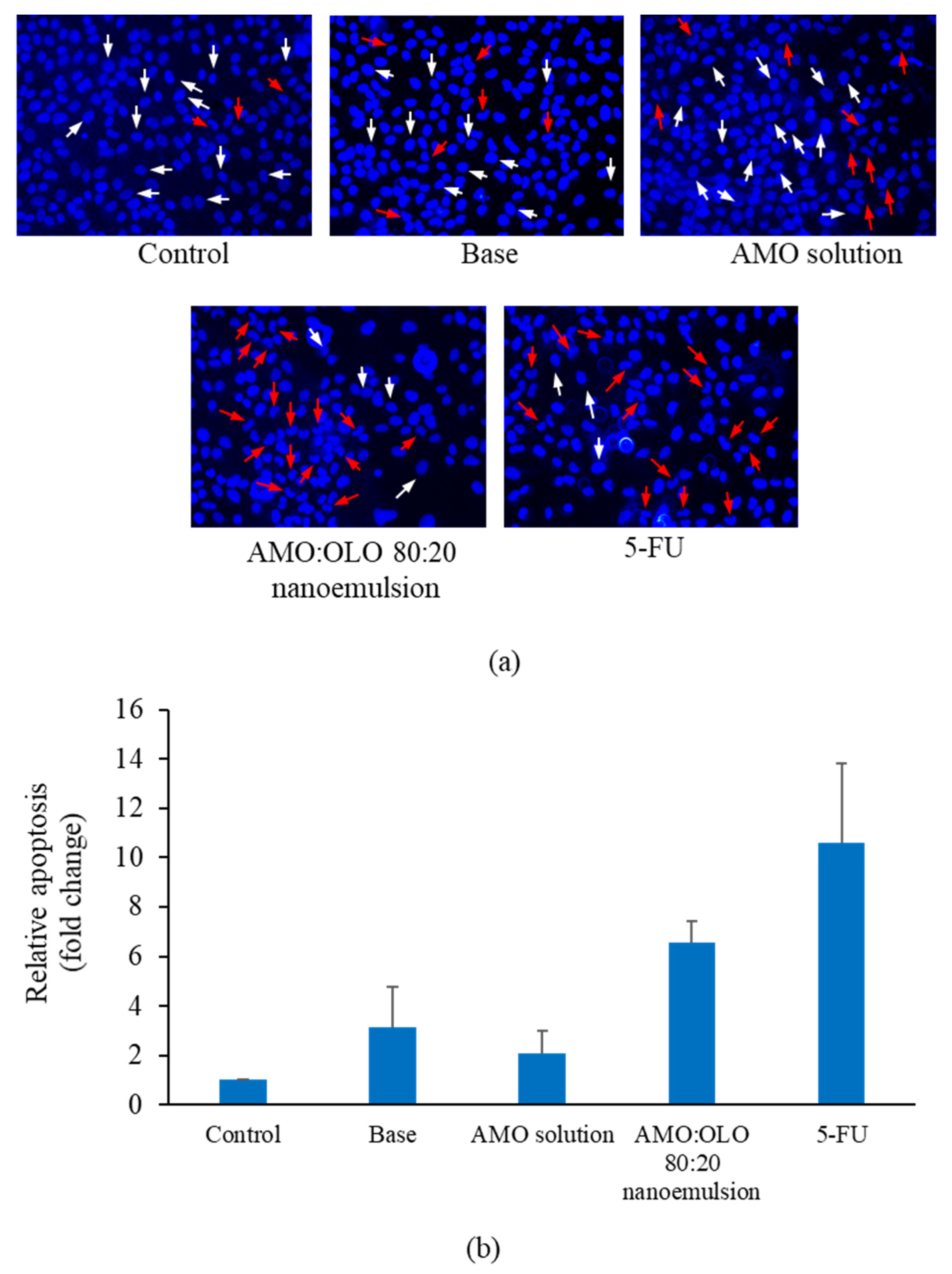 Pharmaceutics 14 00938 g006