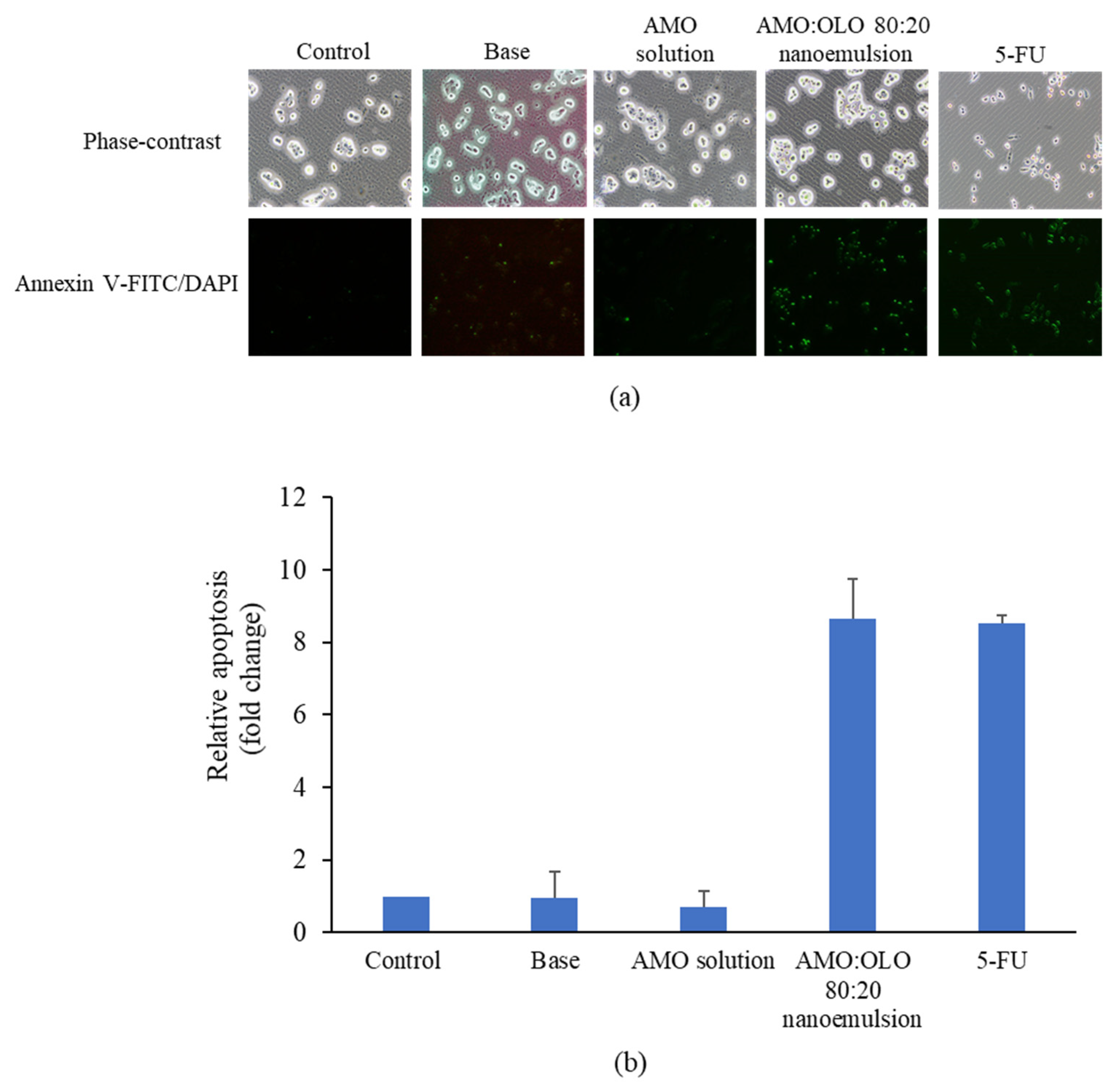 Pharmaceutics 14 00938 g007