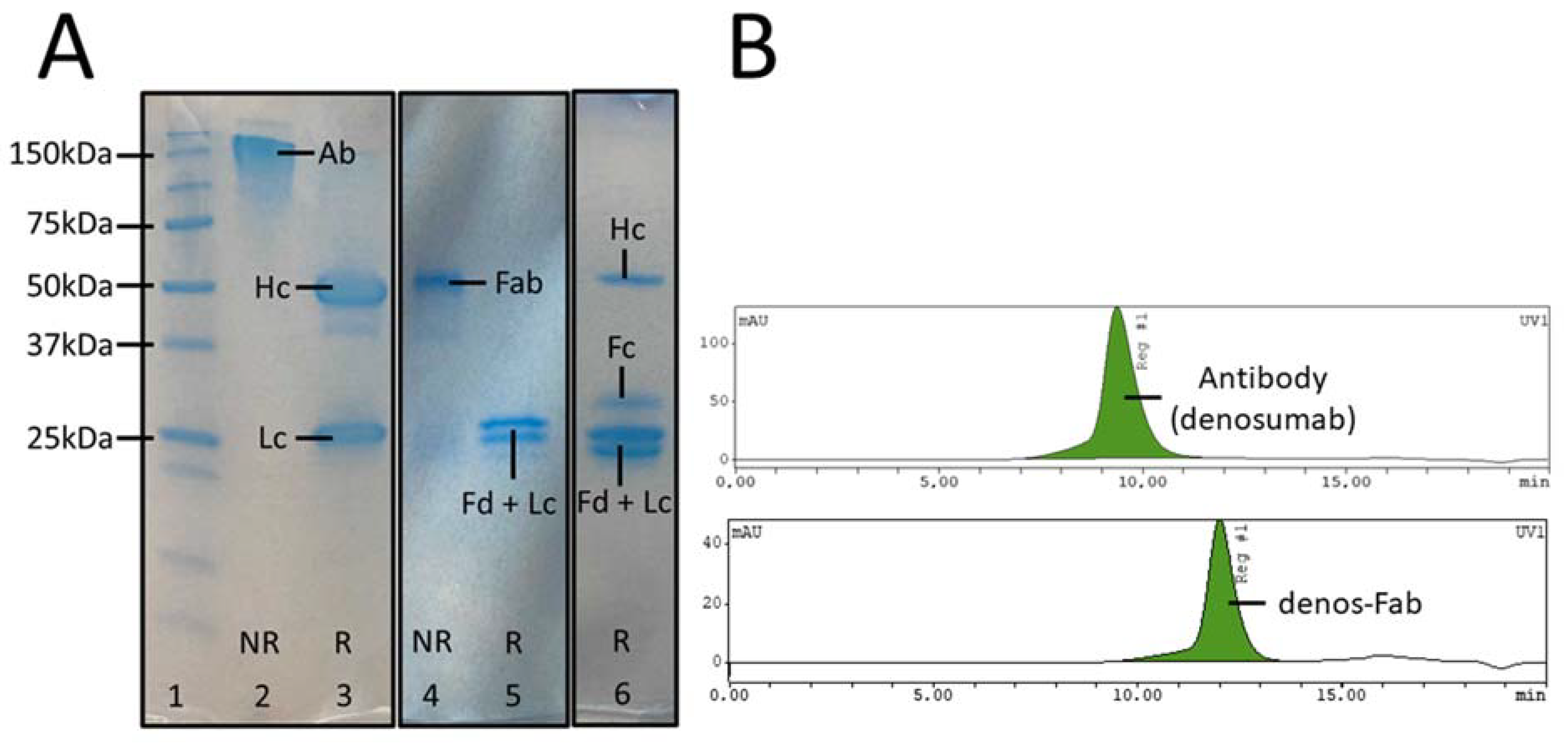 Pharmaceutics 14 00939 g001 Pharmaceutics 14 00939 g001