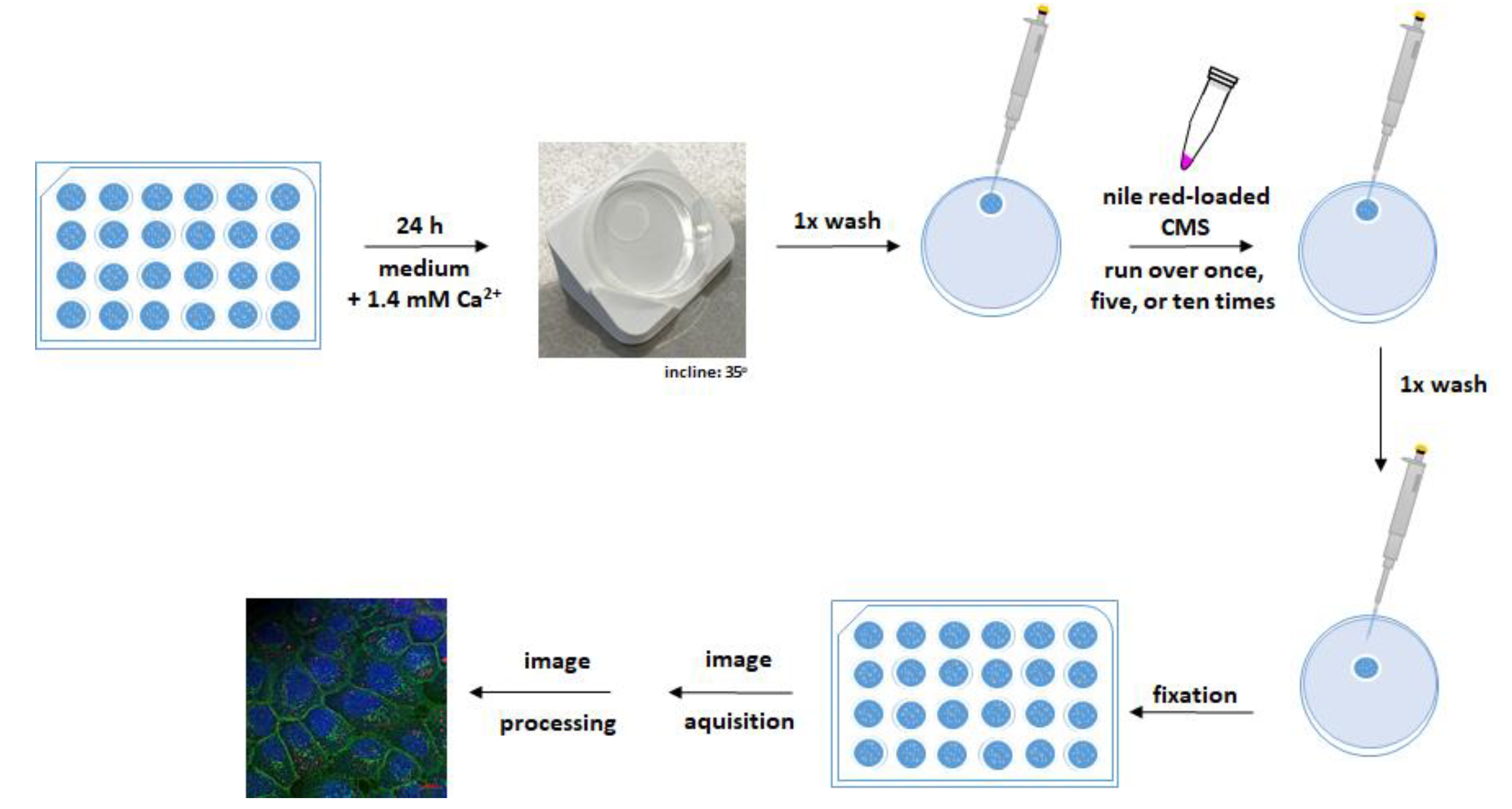 Pharmaceutics 14 00940 g005