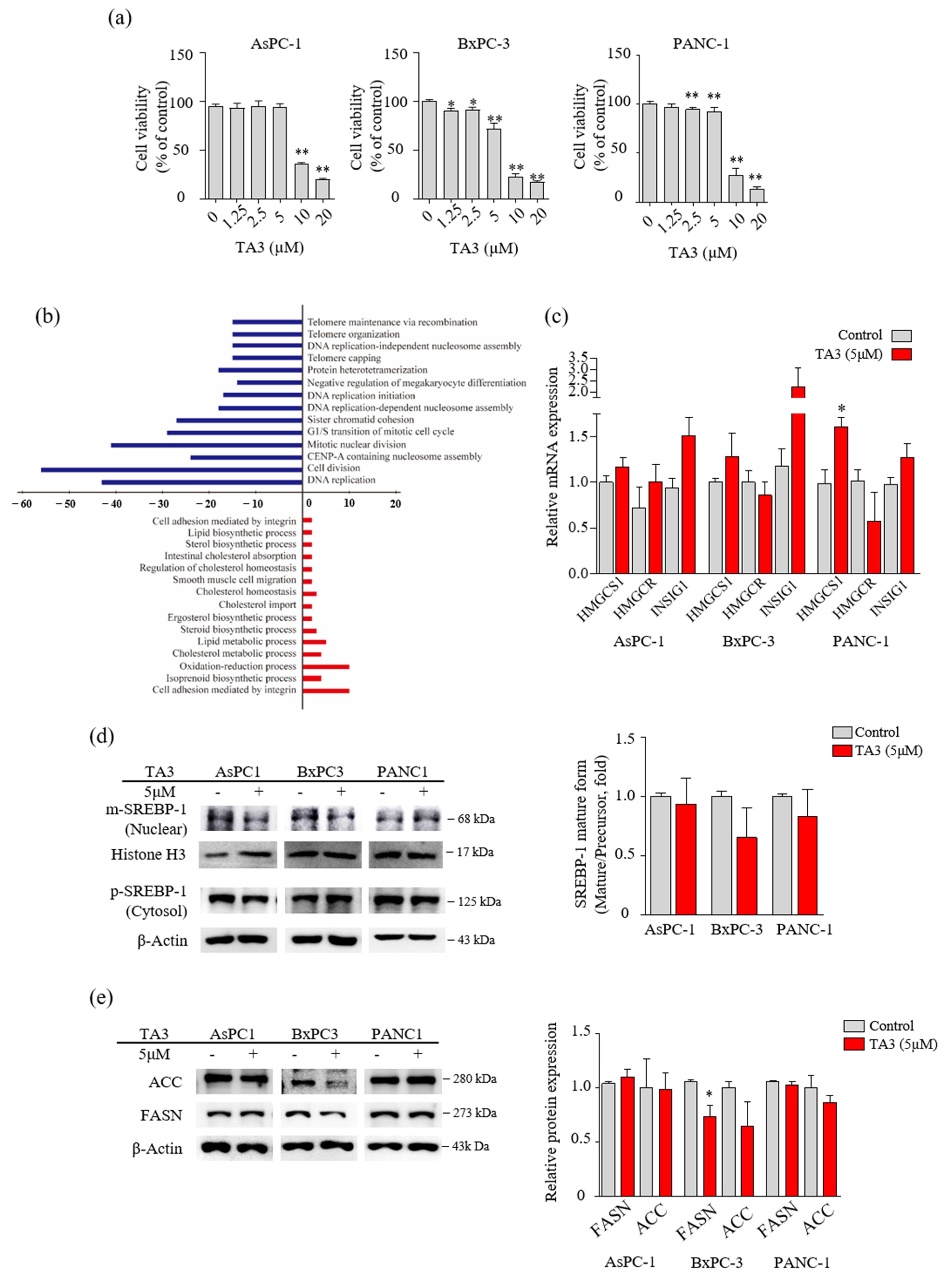 Pharmaceutics 14 00945 g001