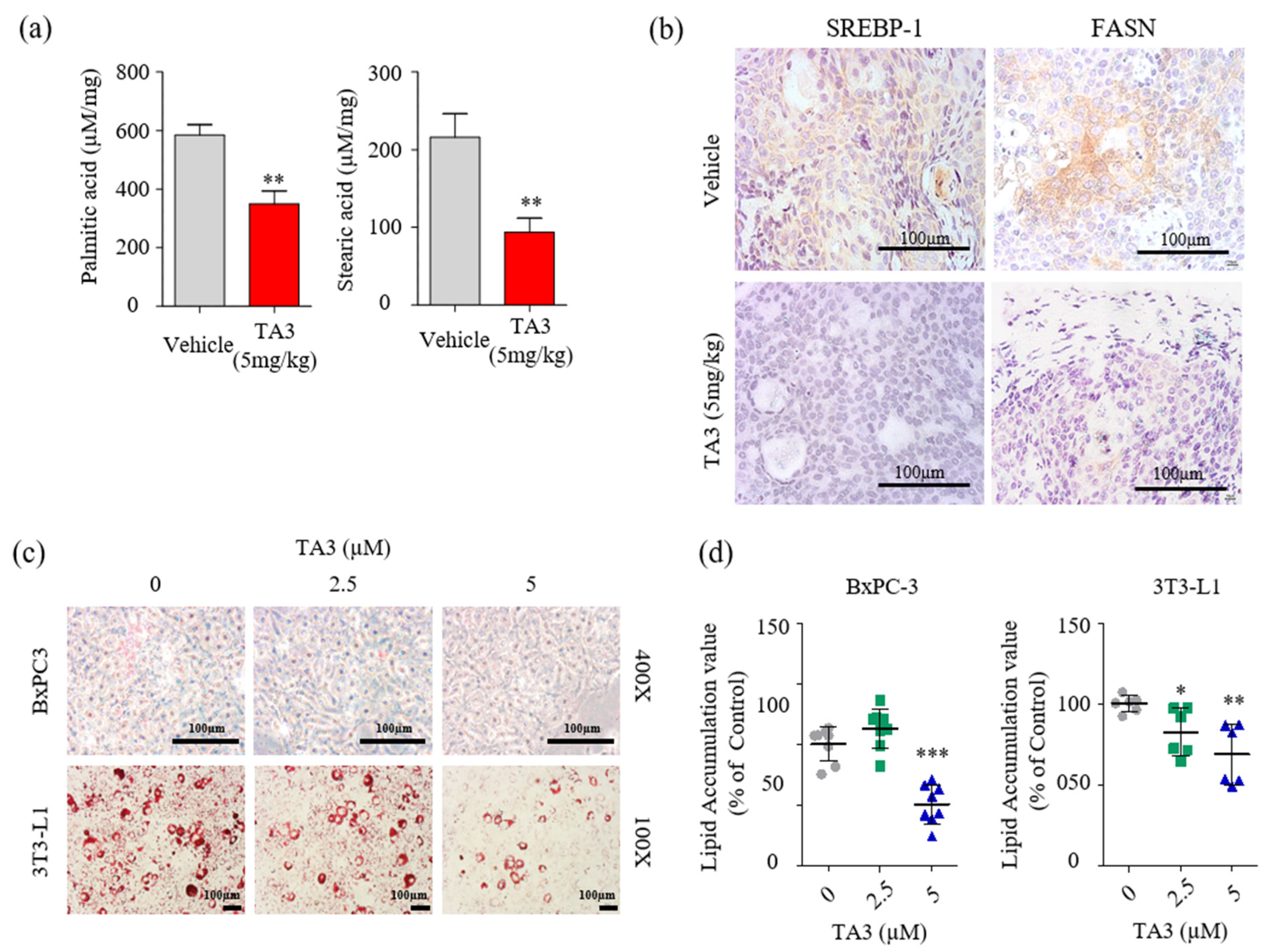 Pharmaceutics 14 00945 g006