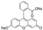 Pharmaceutics 14 00955 i006