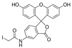 Pharmaceutics 14 00955 i009