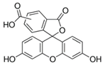 Pharmaceutics 14 00955 i010