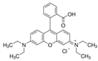Pharmaceutics 14 00955 i012