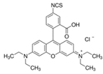 Pharmaceutics 14 00955 i013