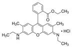 Pharmaceutics 14 00955 i015