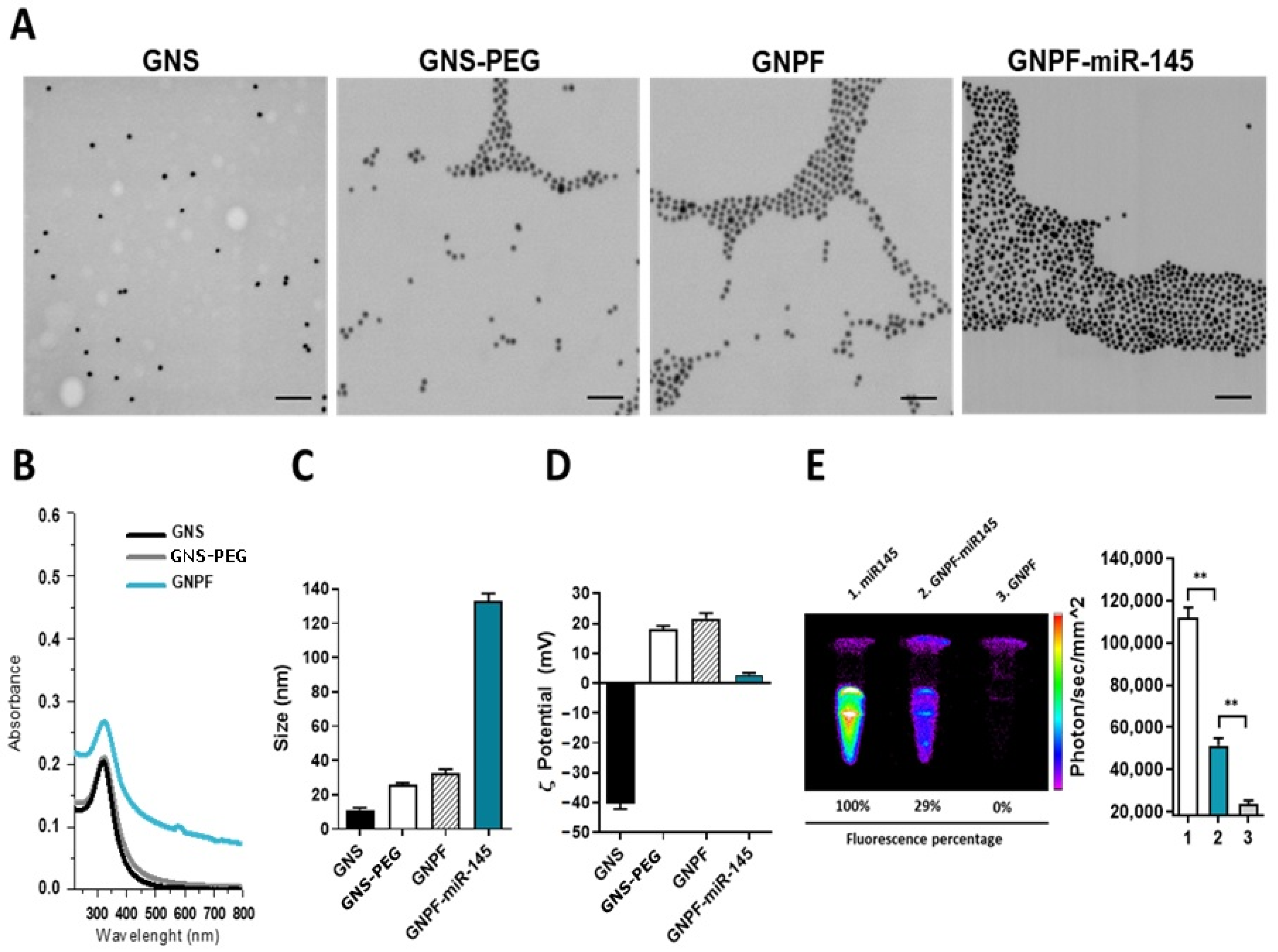 Pharmaceutics 14 00958 g001