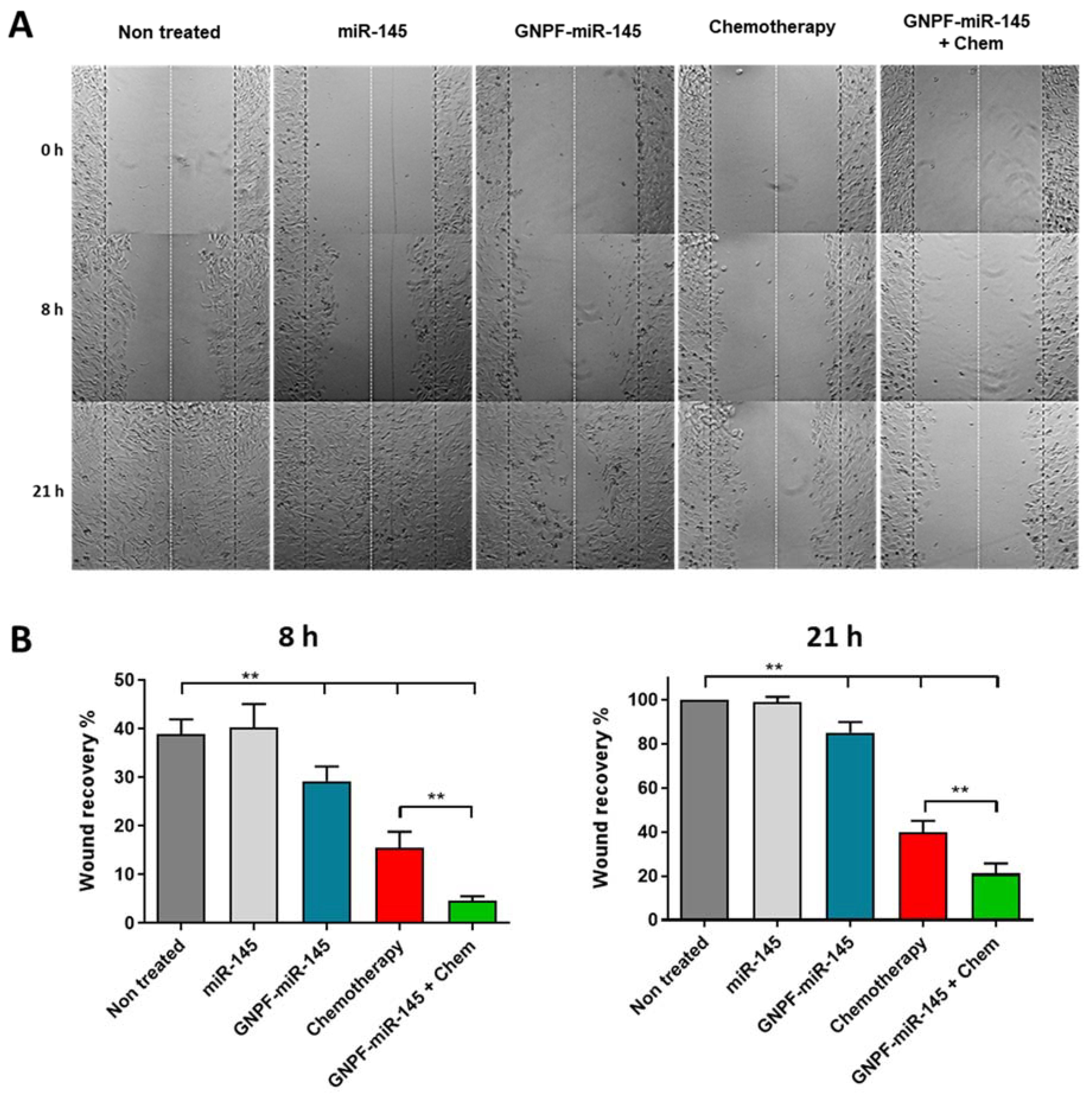 Pharmaceutics 14 00958 g005