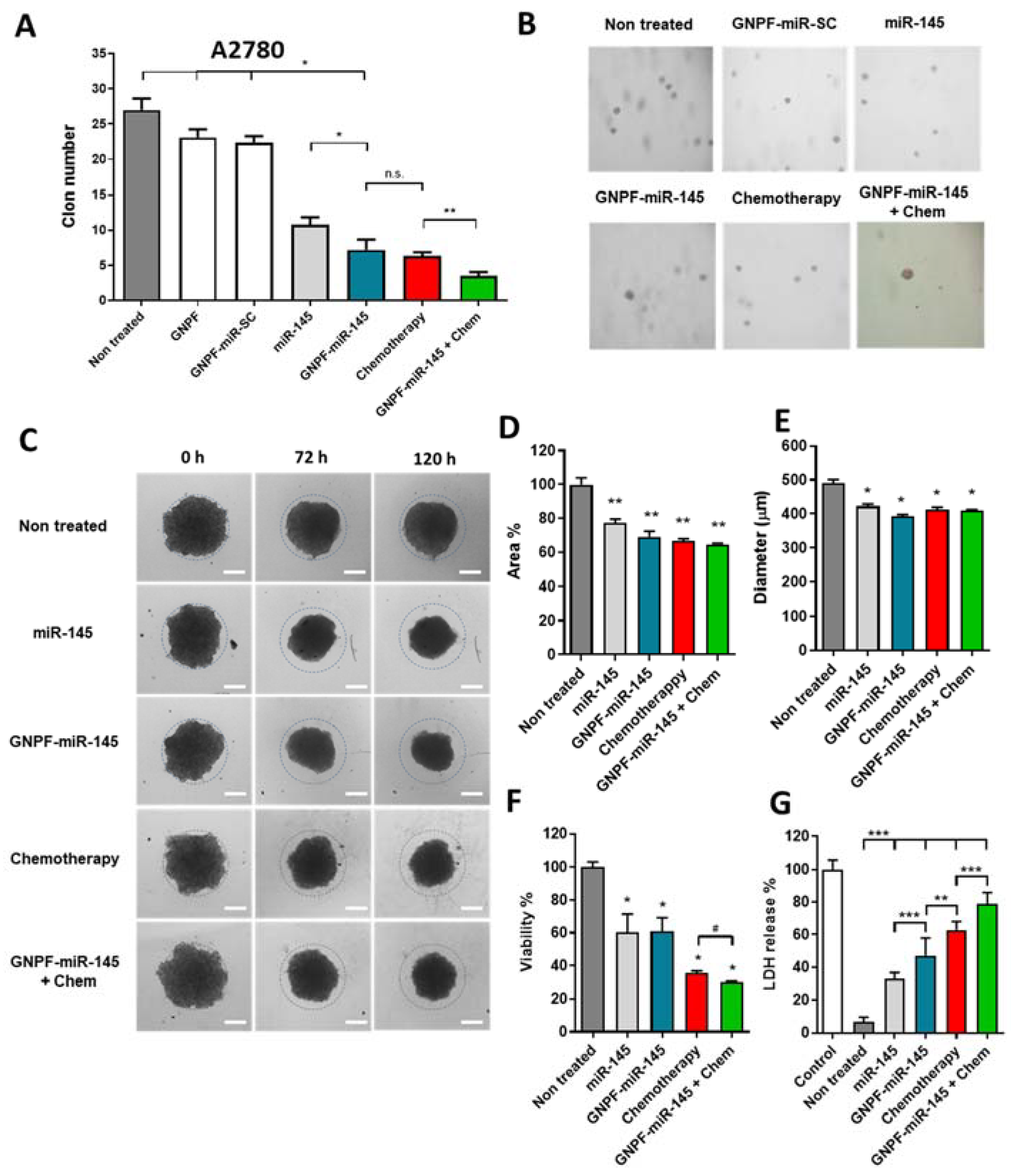 Pharmaceutics 14 00958 g007