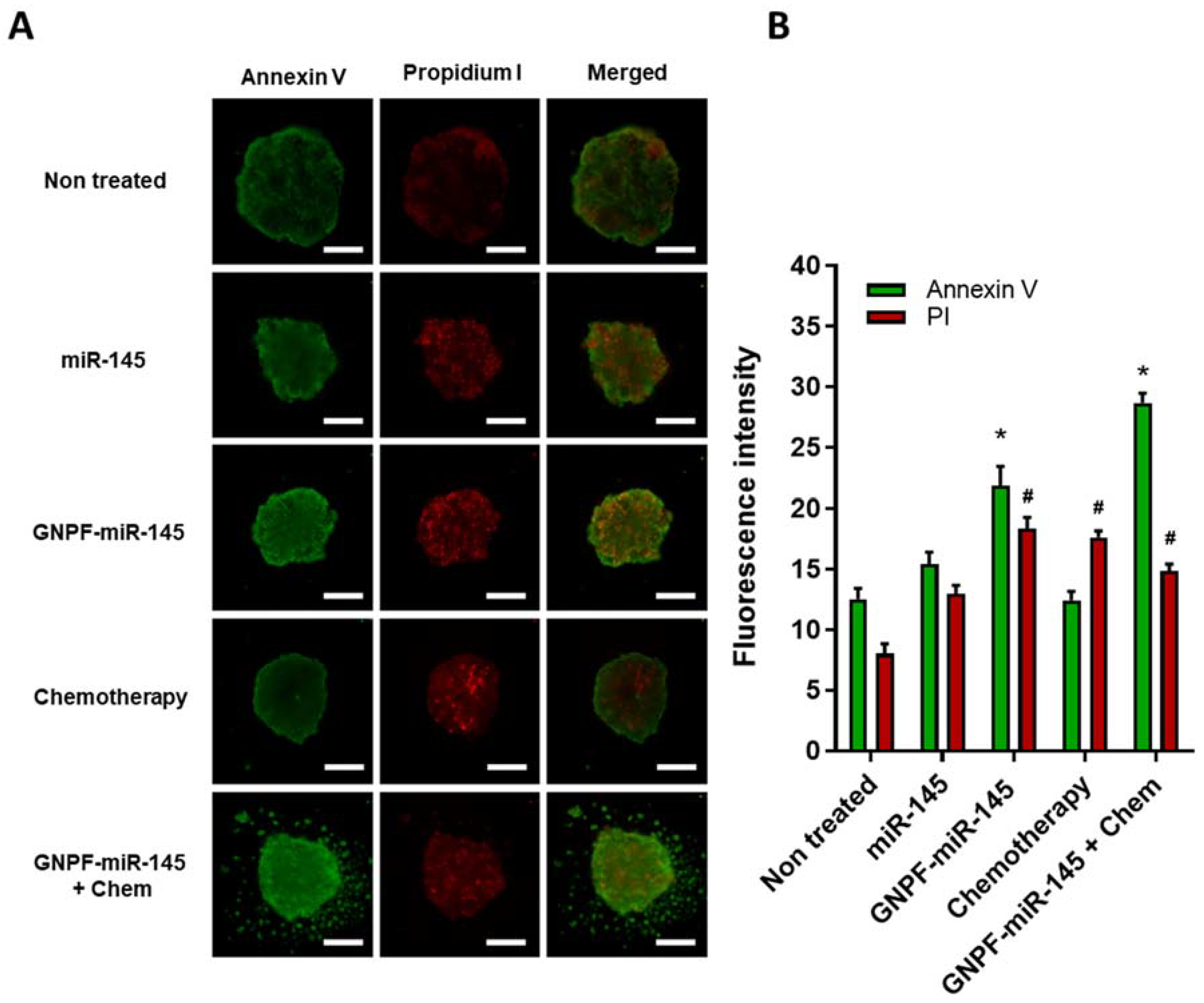 Pharmaceutics 14 00958 g008