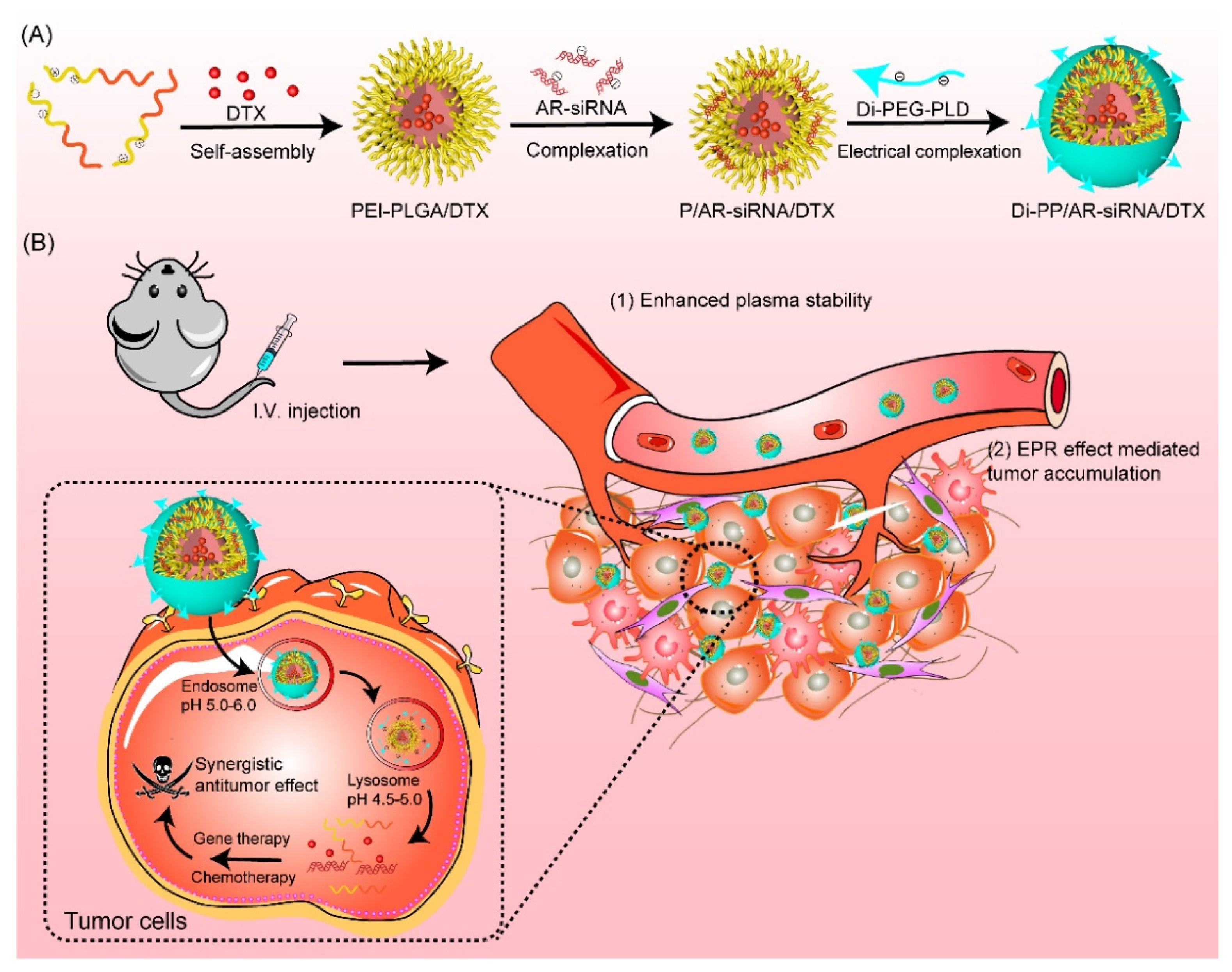 Pharmaceutics 14 00964 g001
