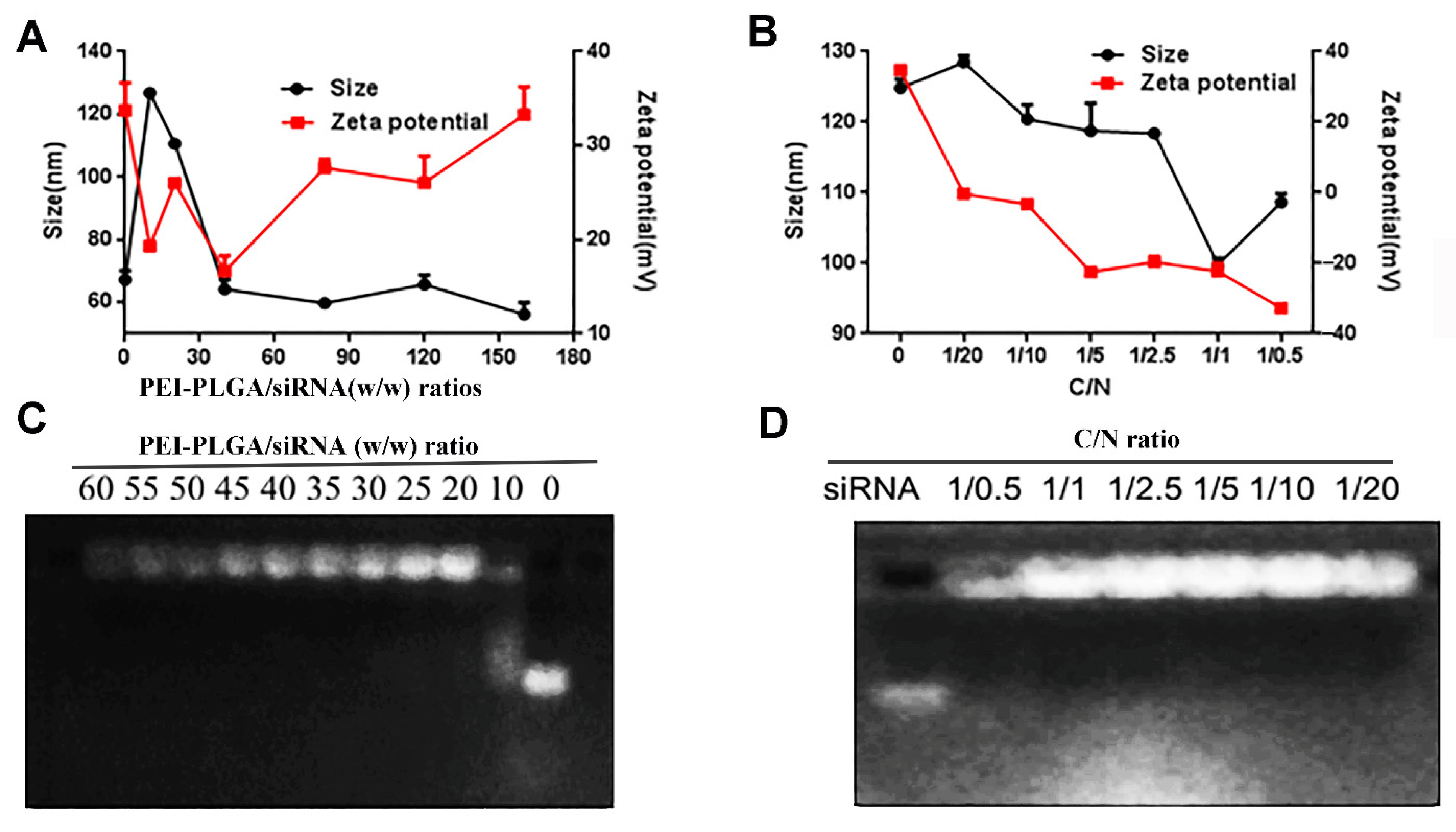 Pharmaceutics 14 00964 g004