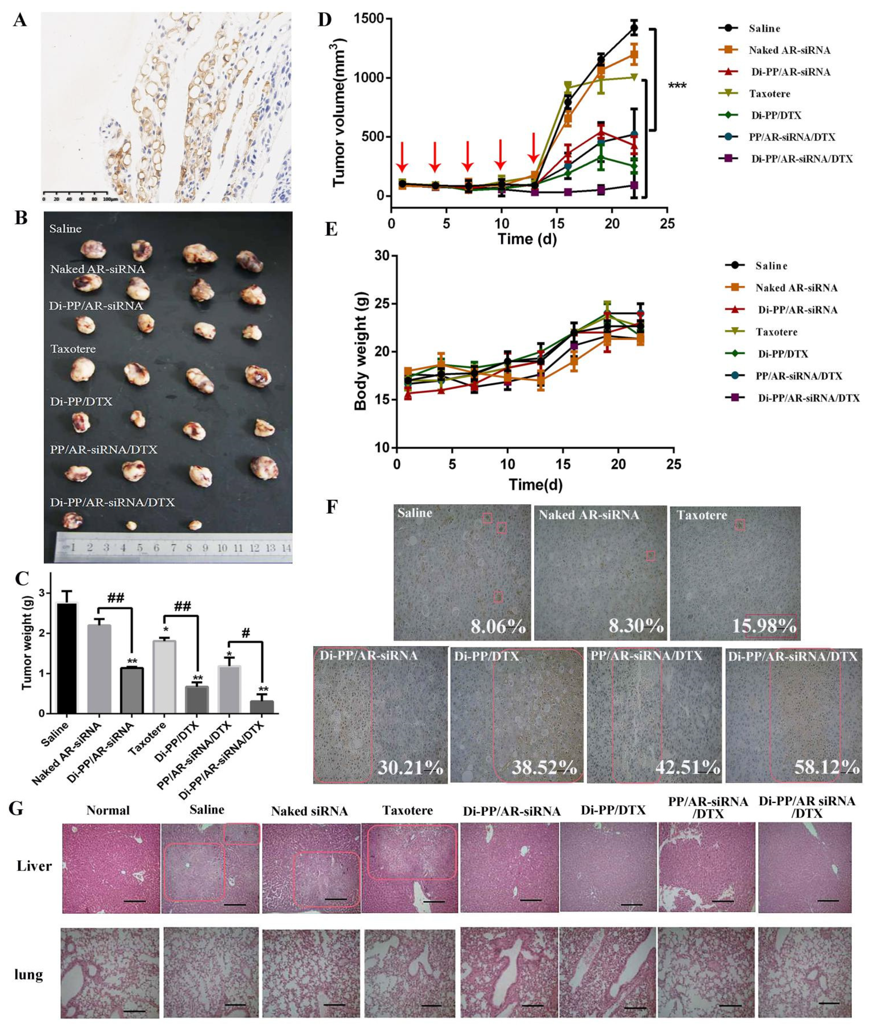 Pharmaceutics 14 00964 g008