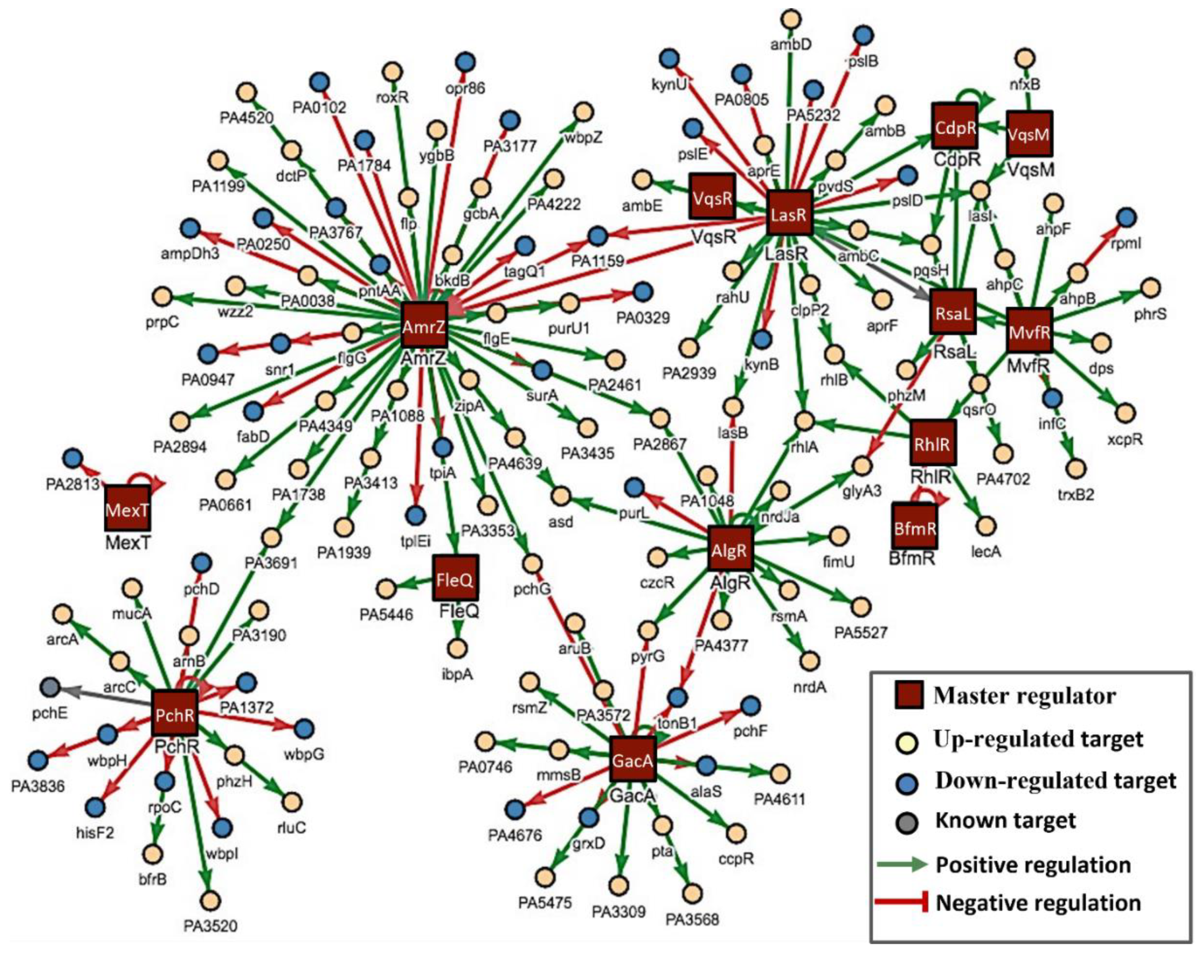 Pharmaceutics 14 00967 g004