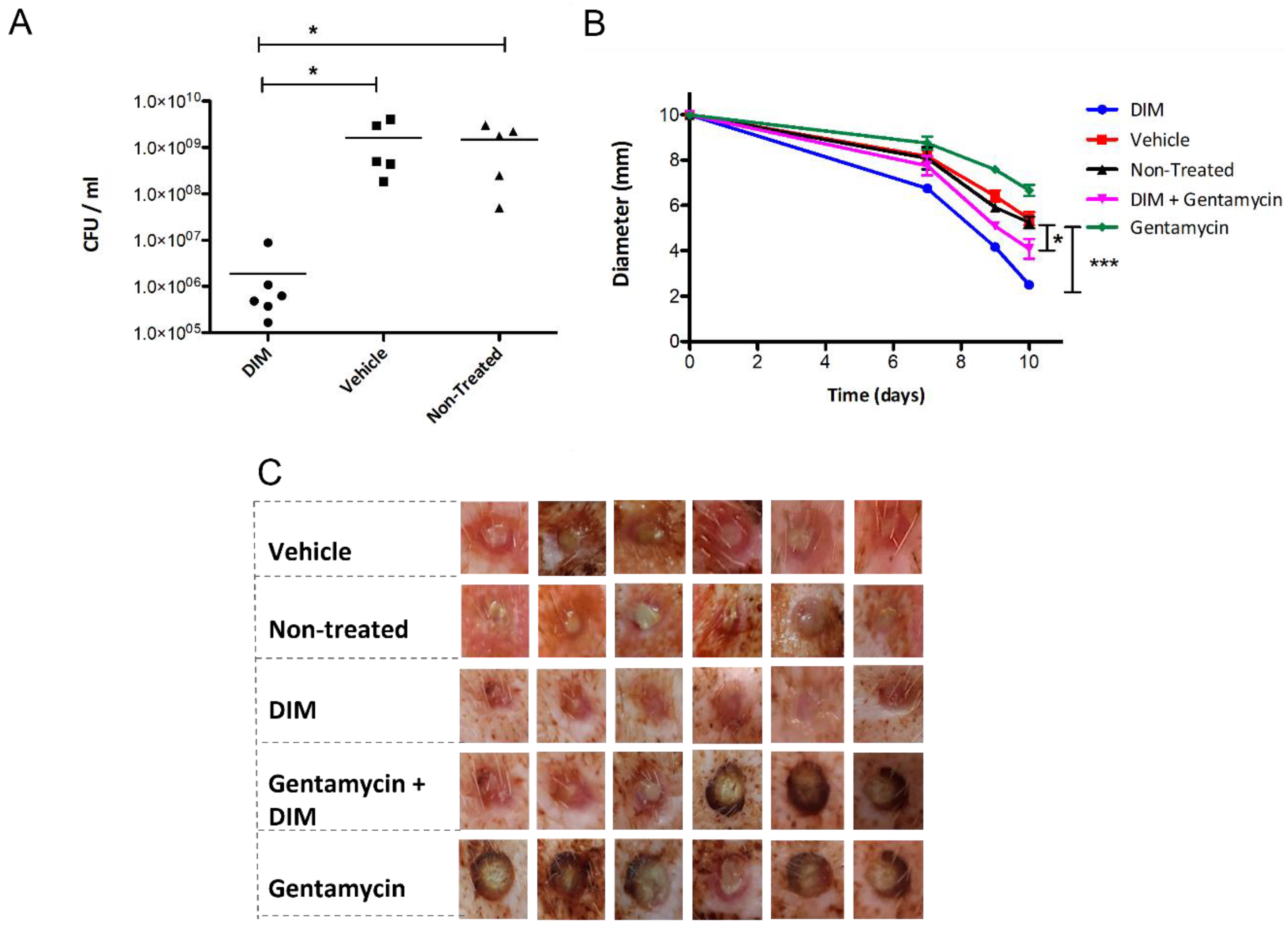 Pharmaceutics 14 00967 g006