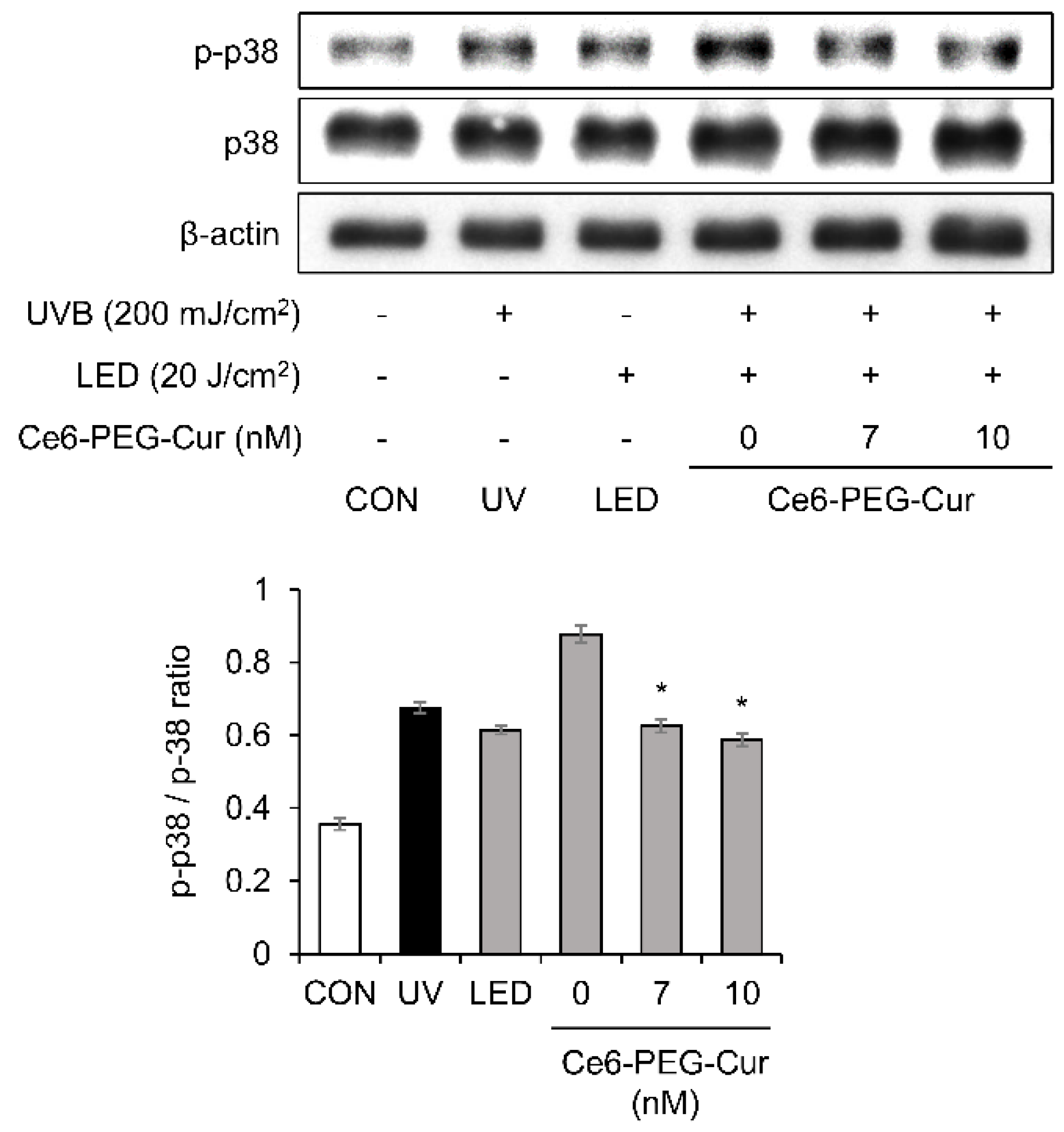 Pharmaceutics 14 00968 g005
