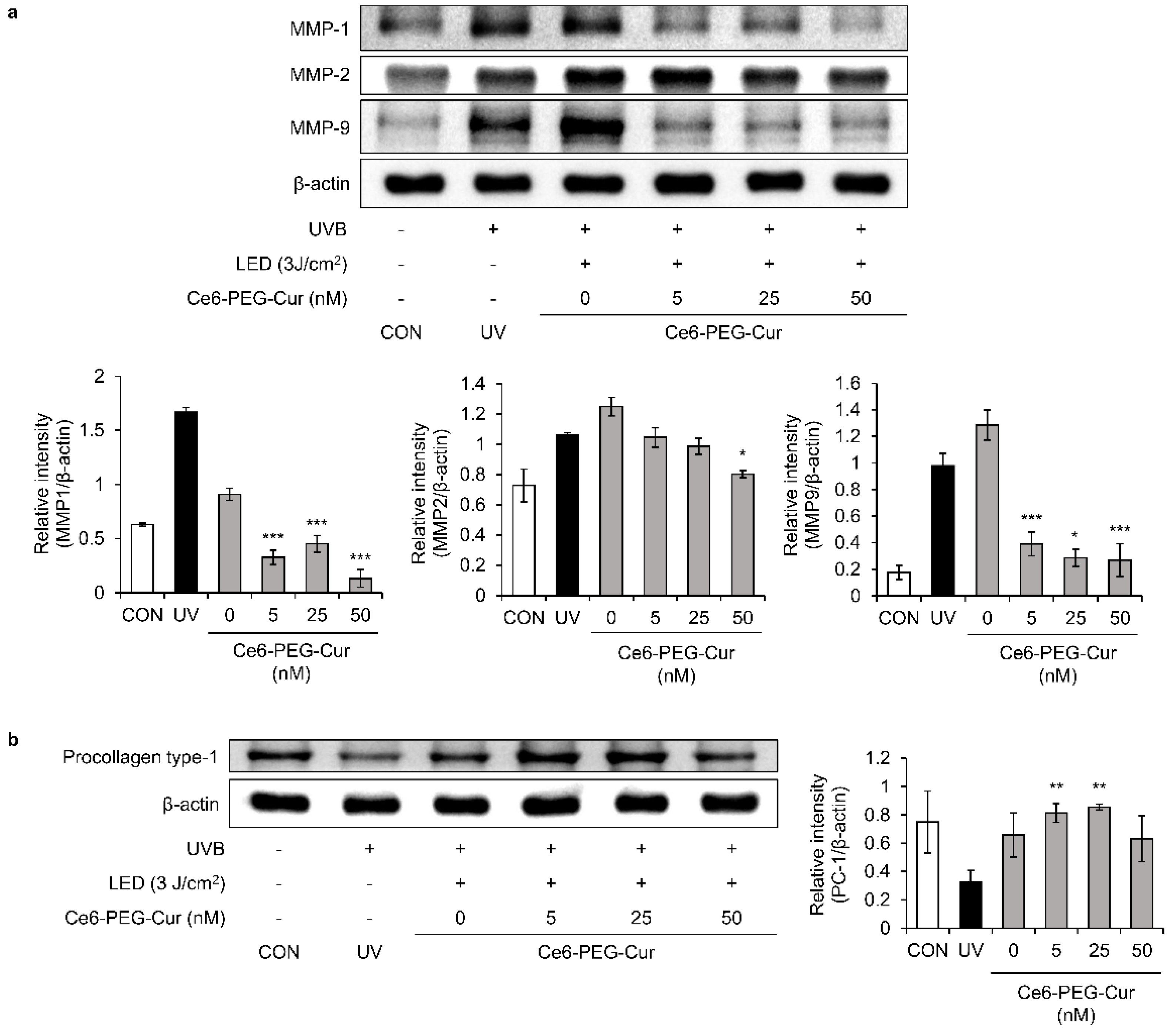 Pharmaceutics 14 00968 g007