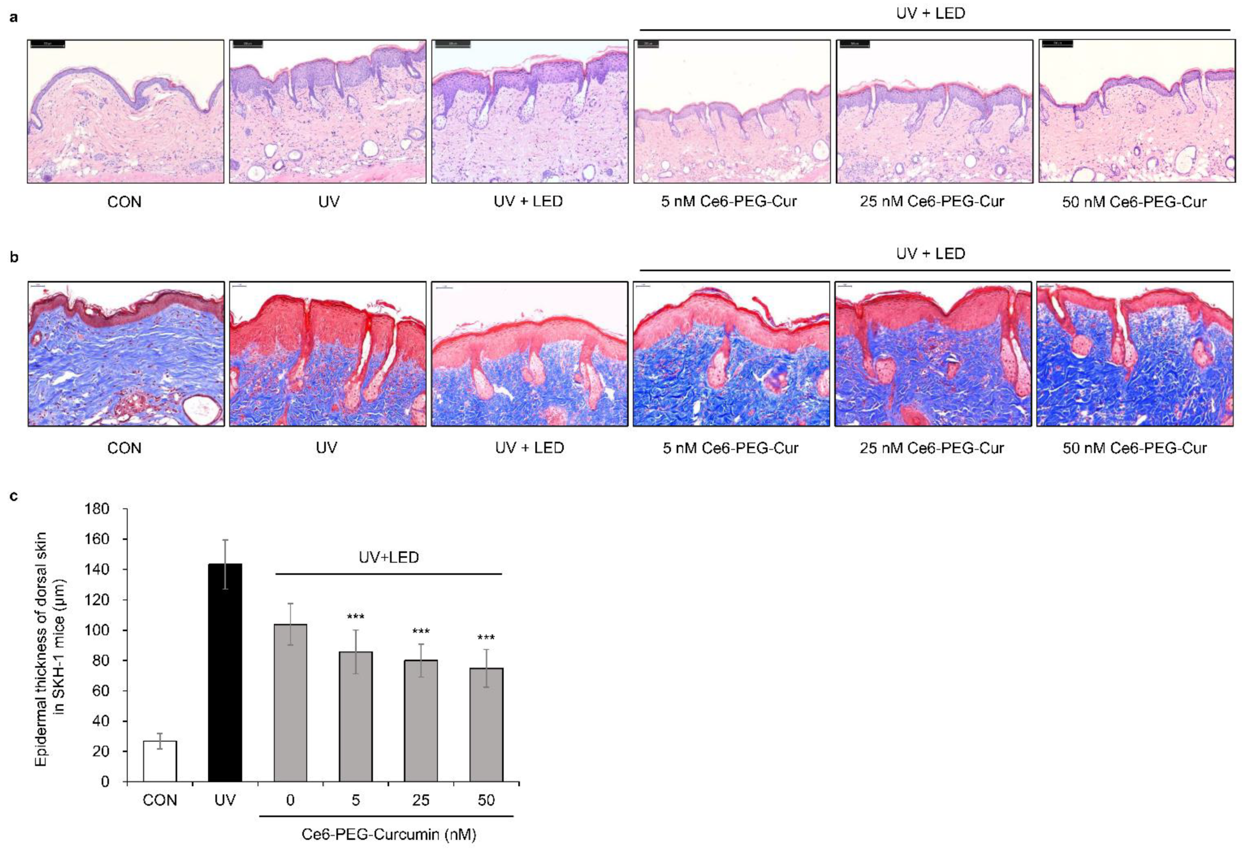 Pharmaceutics 14 00968 g009