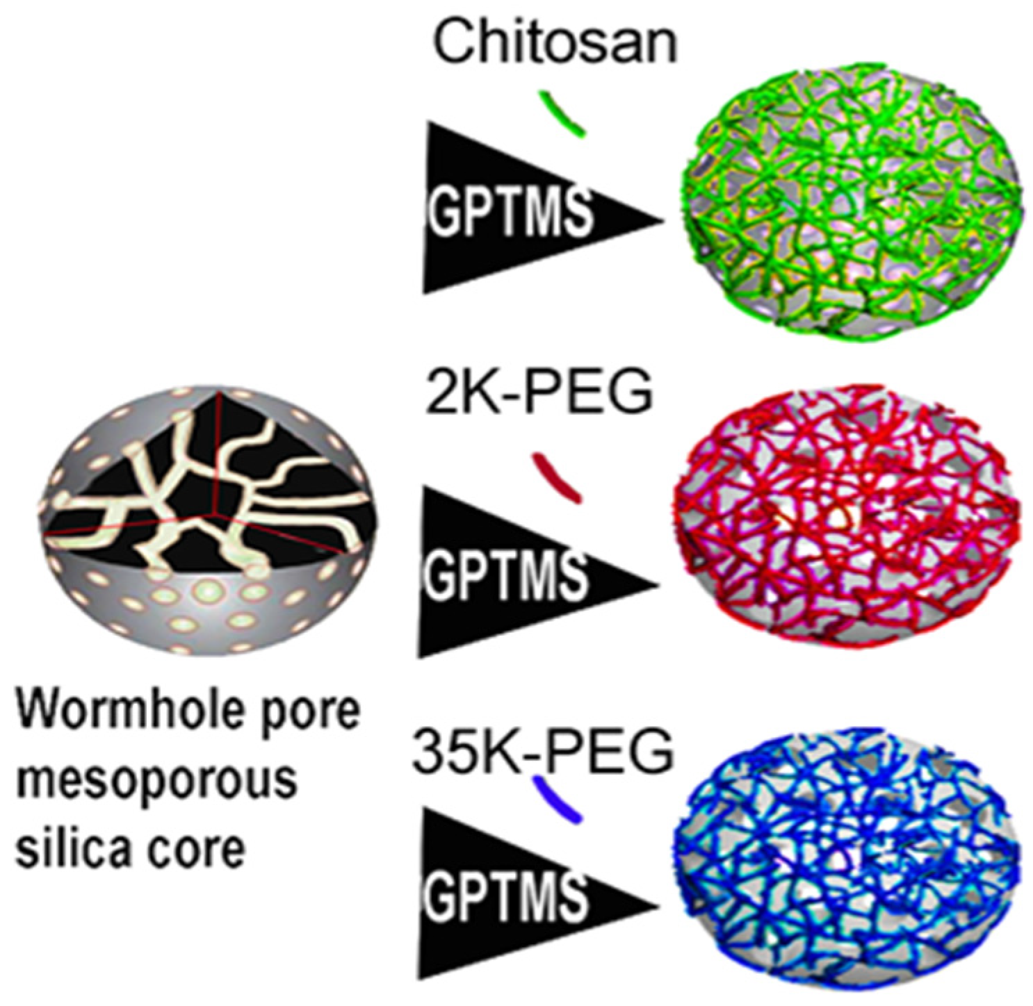 Pharmaceutics 14 00969 g001 Pharmaceutics 14 00969 g001