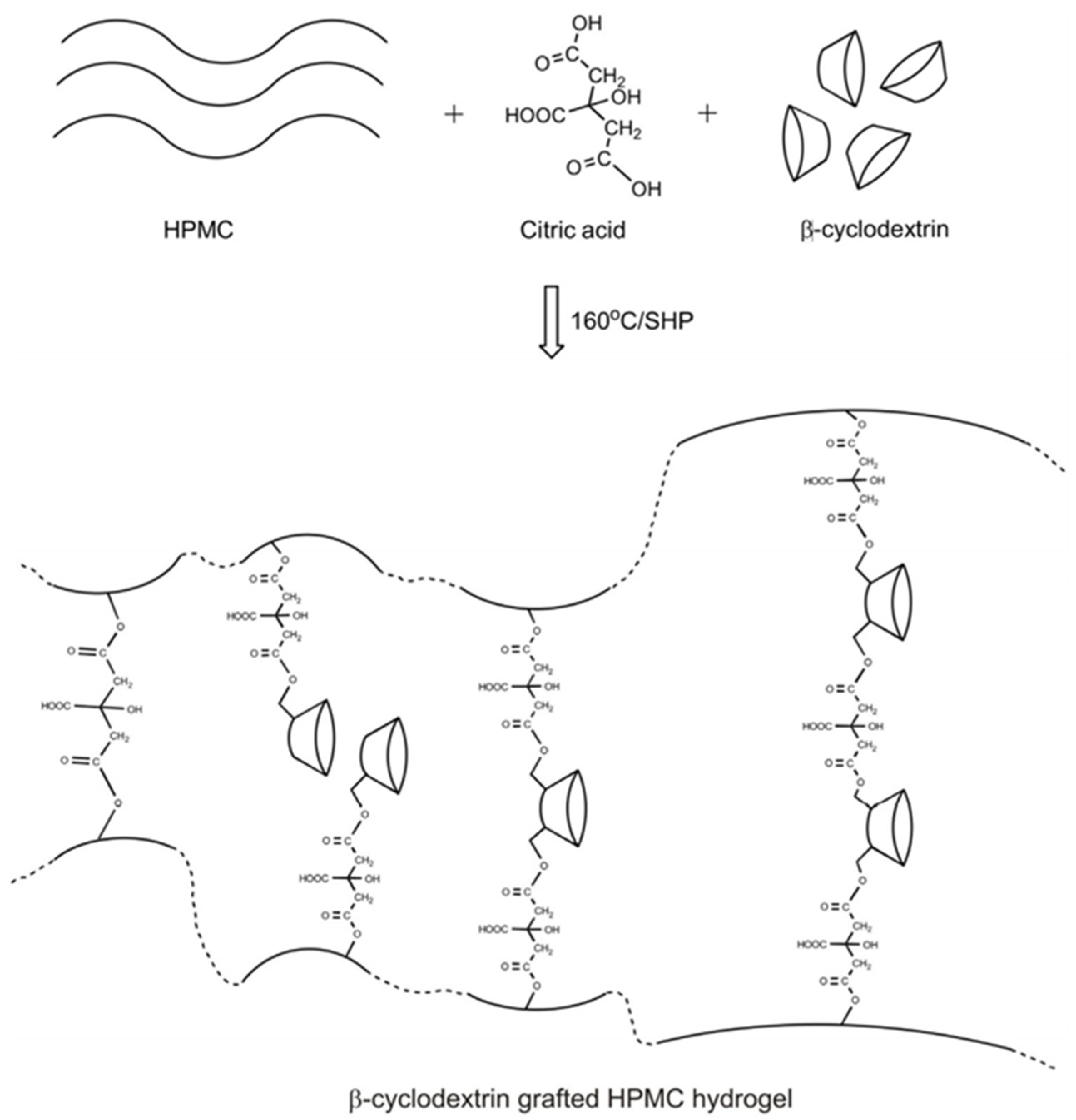 Pharmaceutics 14 00972 g004