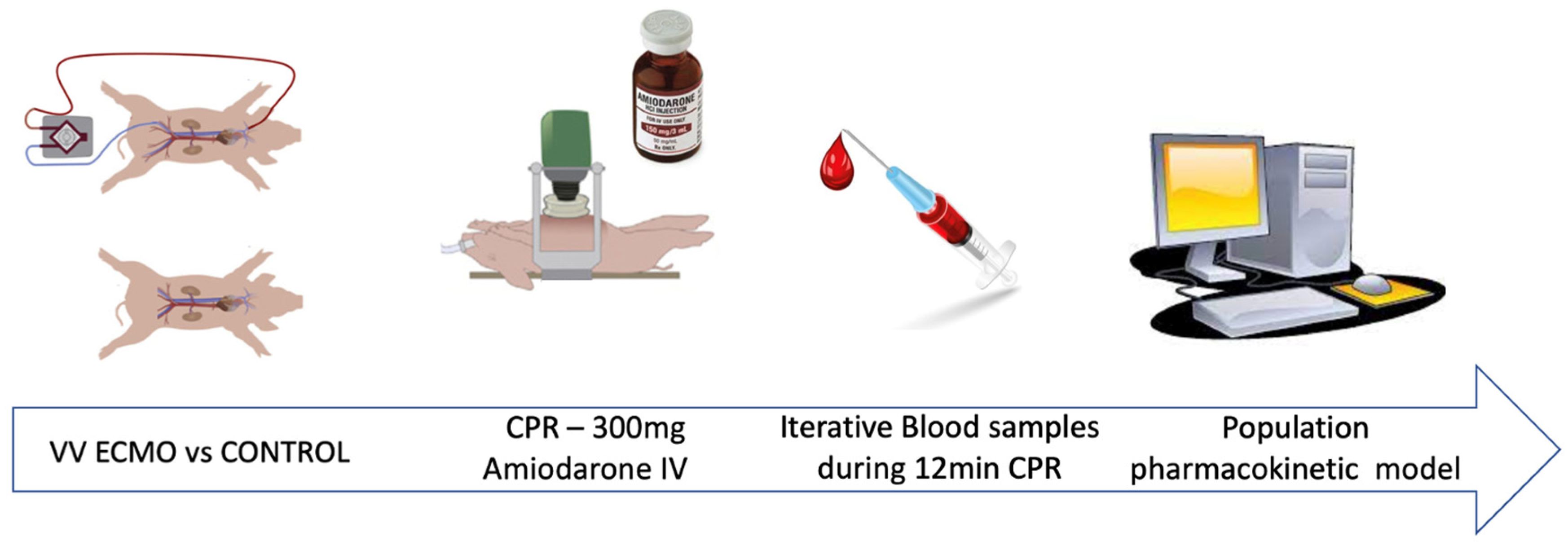 Pharmaceutics 14 00974 g001