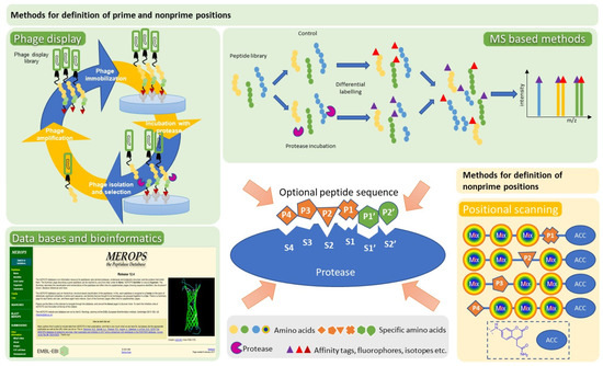 Pharmaceutics 14 00977 g004