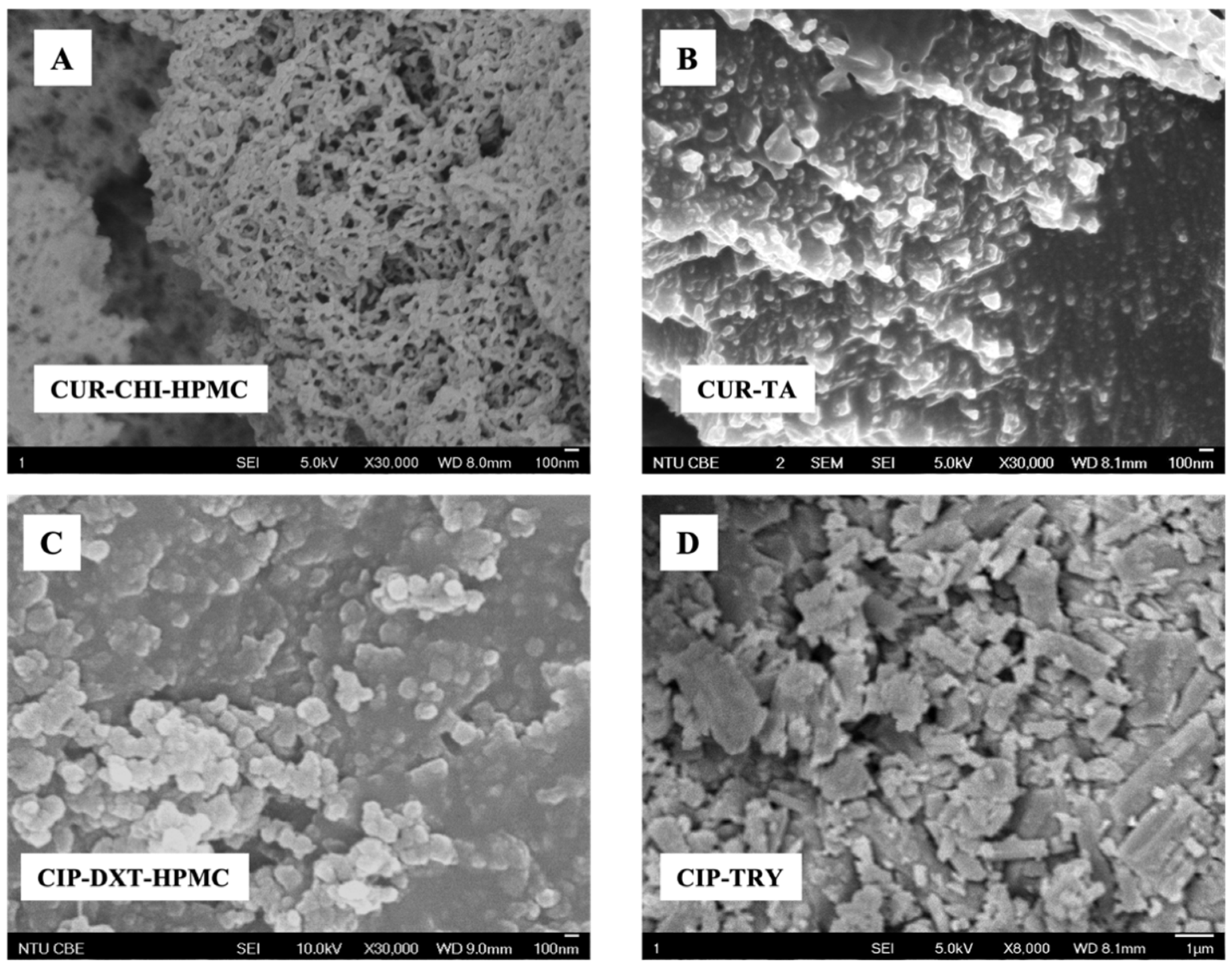 Pharmaceutics 14 00979 g002