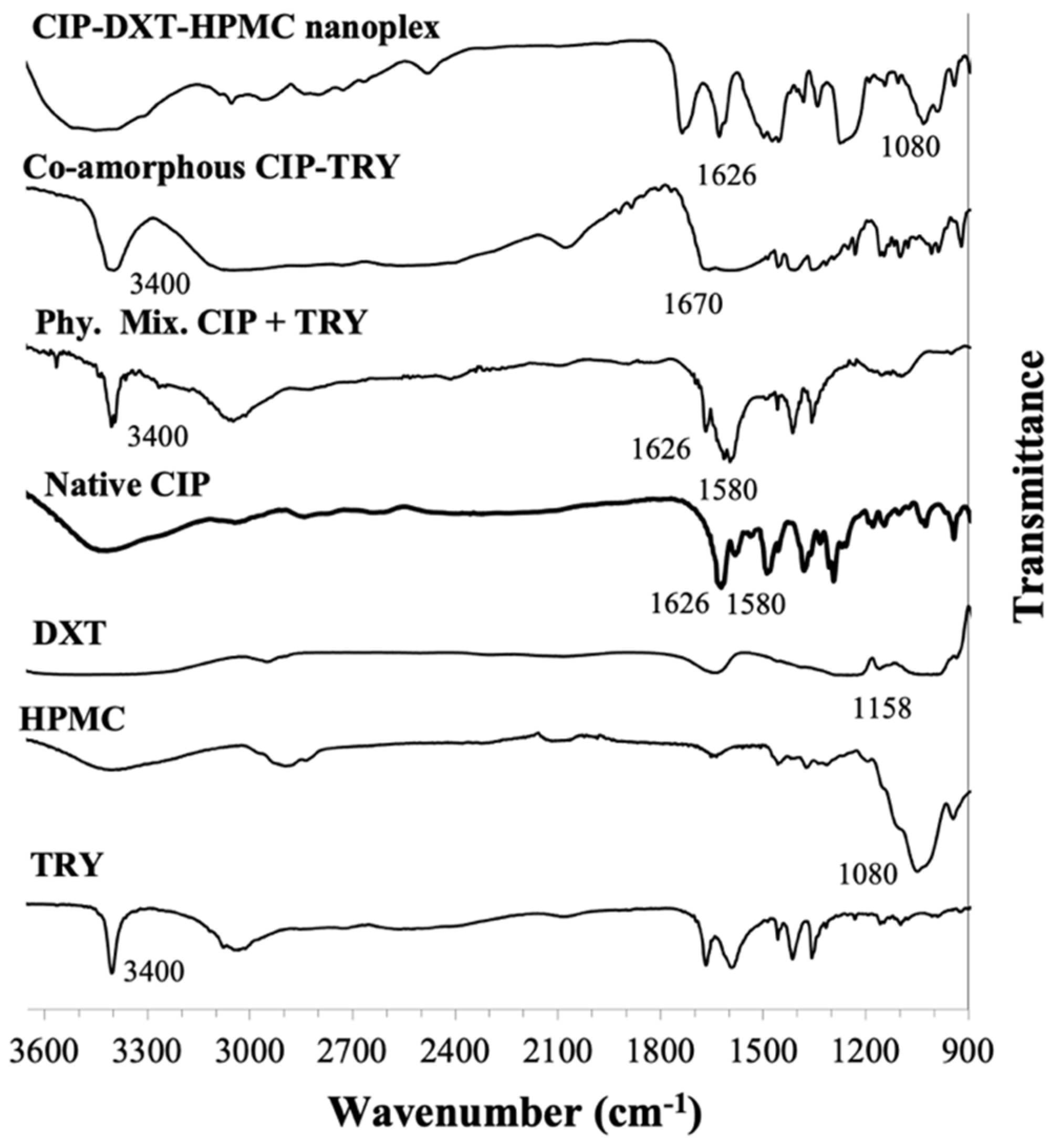 Pharmaceutics 14 00979 g004